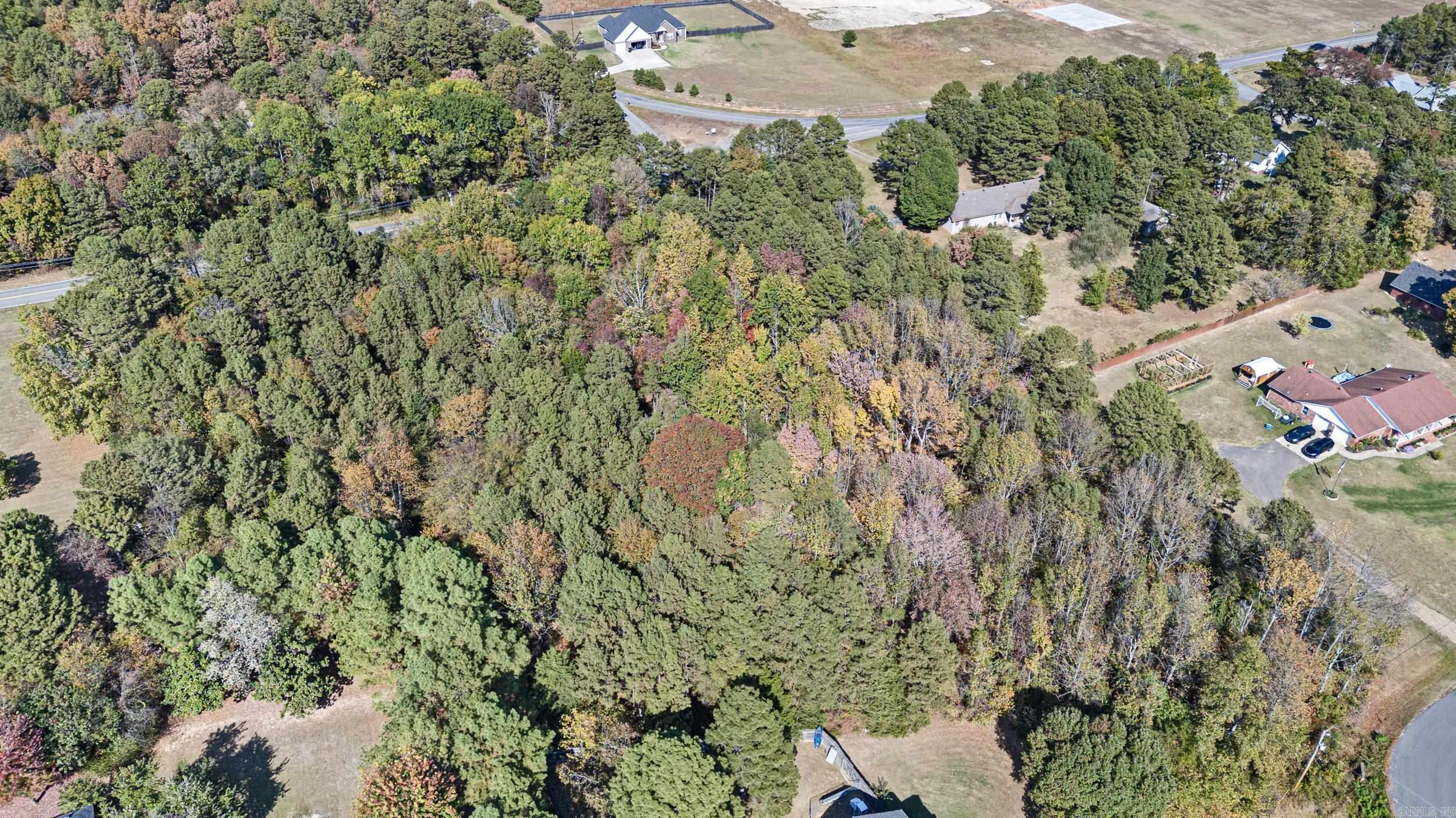 LOTS 80,81,234 Cliff  Russellville, AR