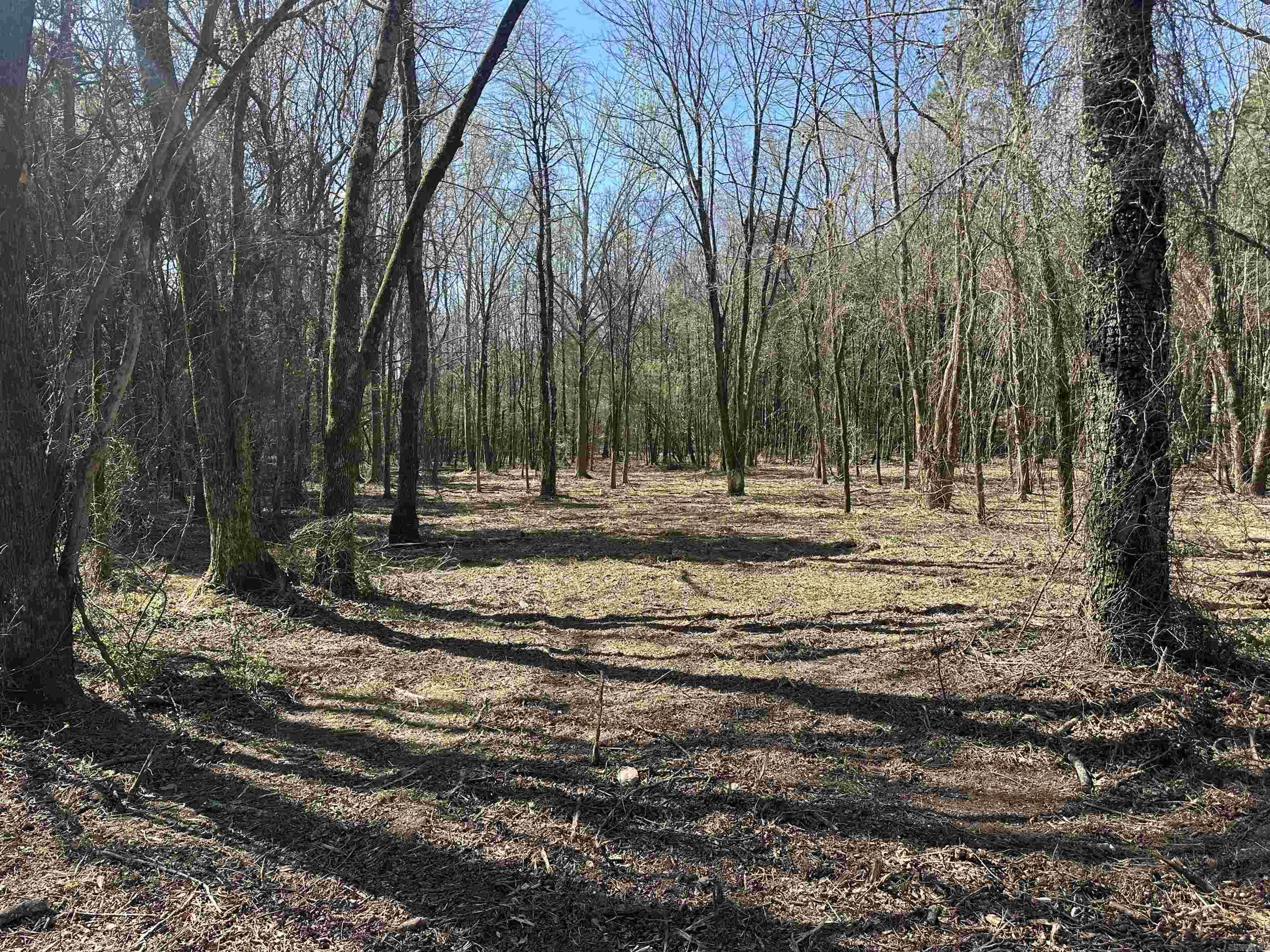 LOTS 80,81,234 Cliff  Russellville, AR