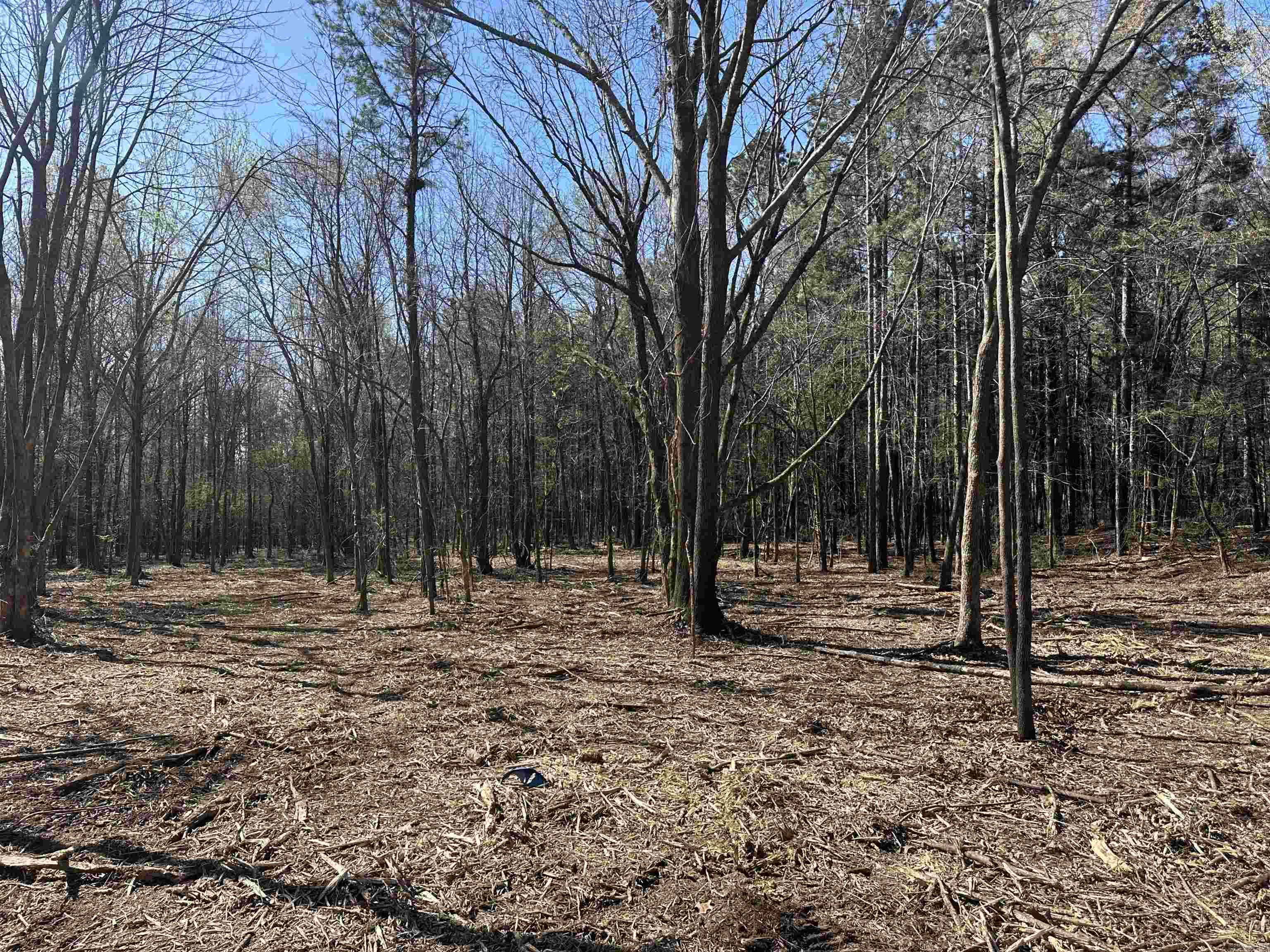 LOTS 80,81,234 Cliff  Russellville, AR