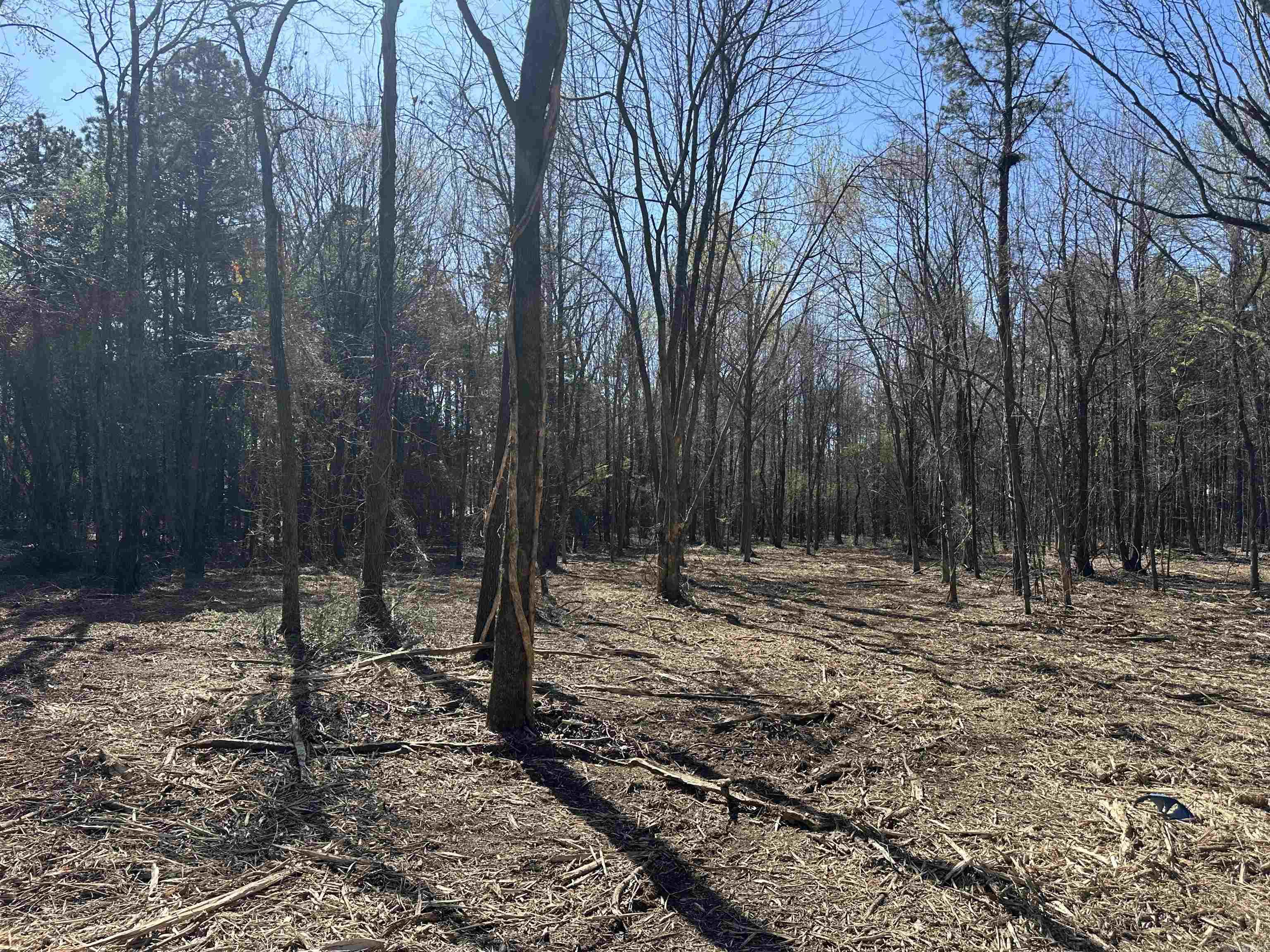 LOTS 80,81,234 Cliff  Russellville, AR