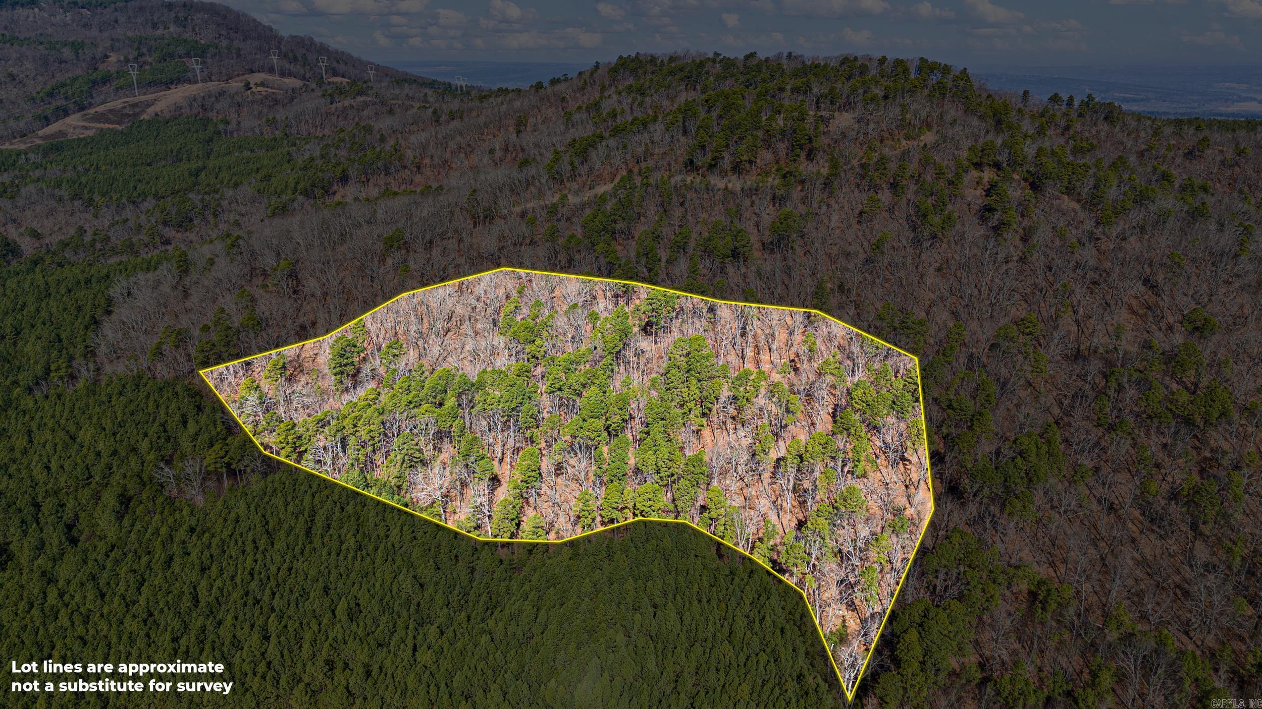  Pool Hollow  Dardanelle, AR