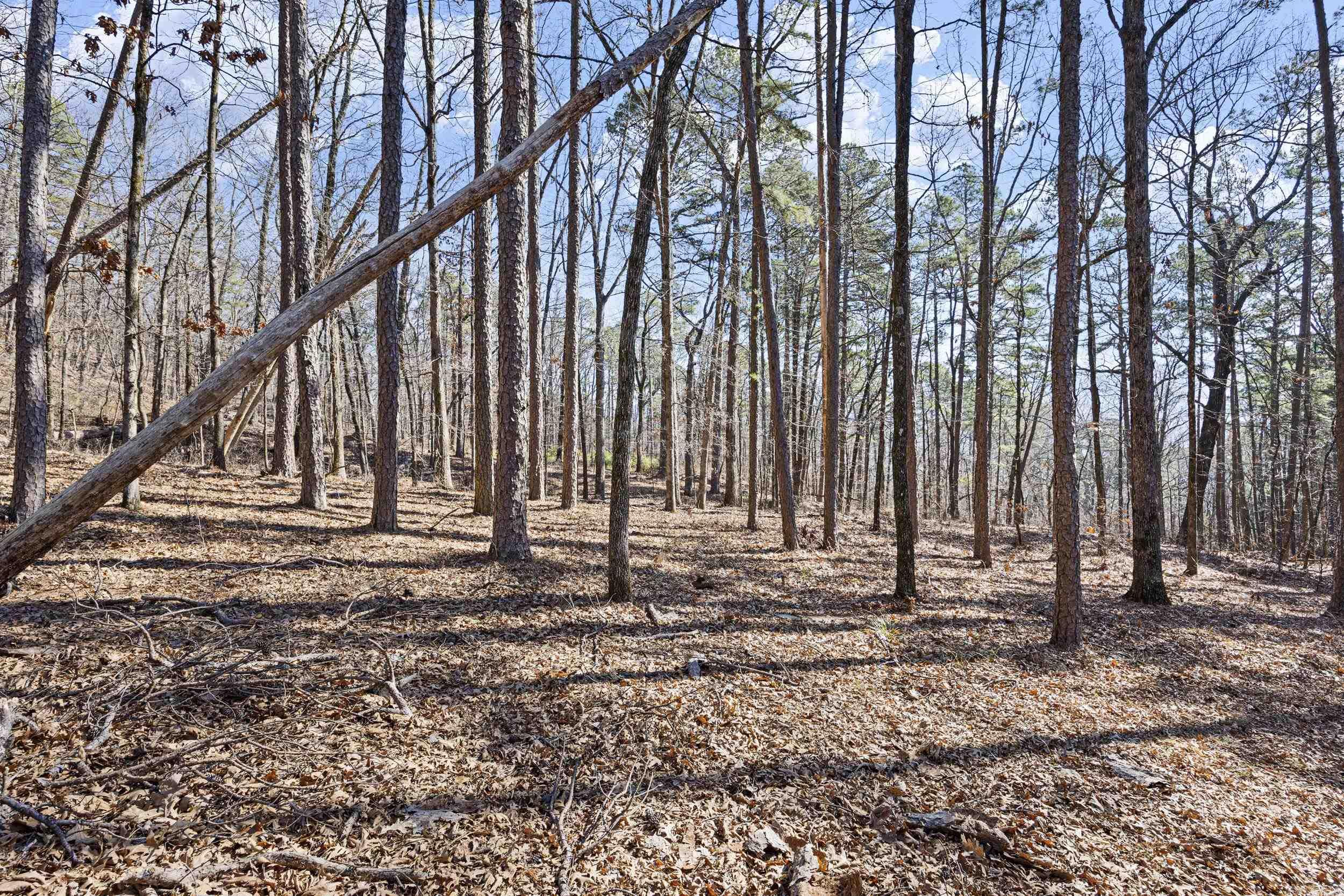  Pool Hollow  Dardanelle, AR