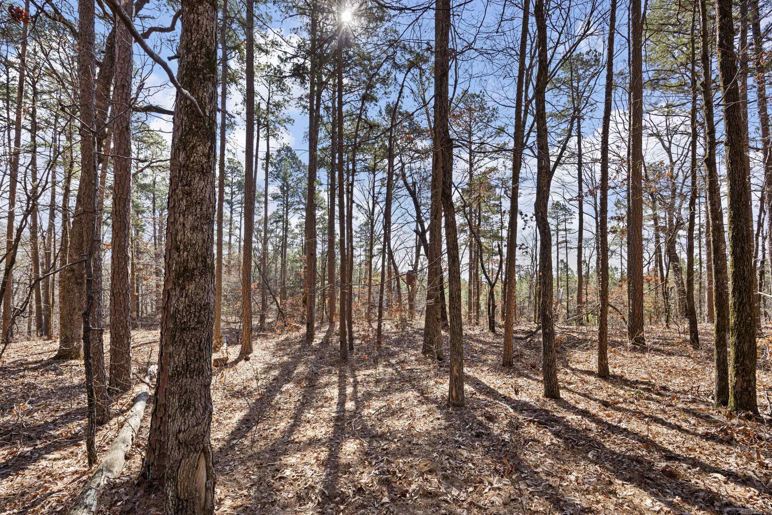  Pool Hollow  Dardanelle, AR