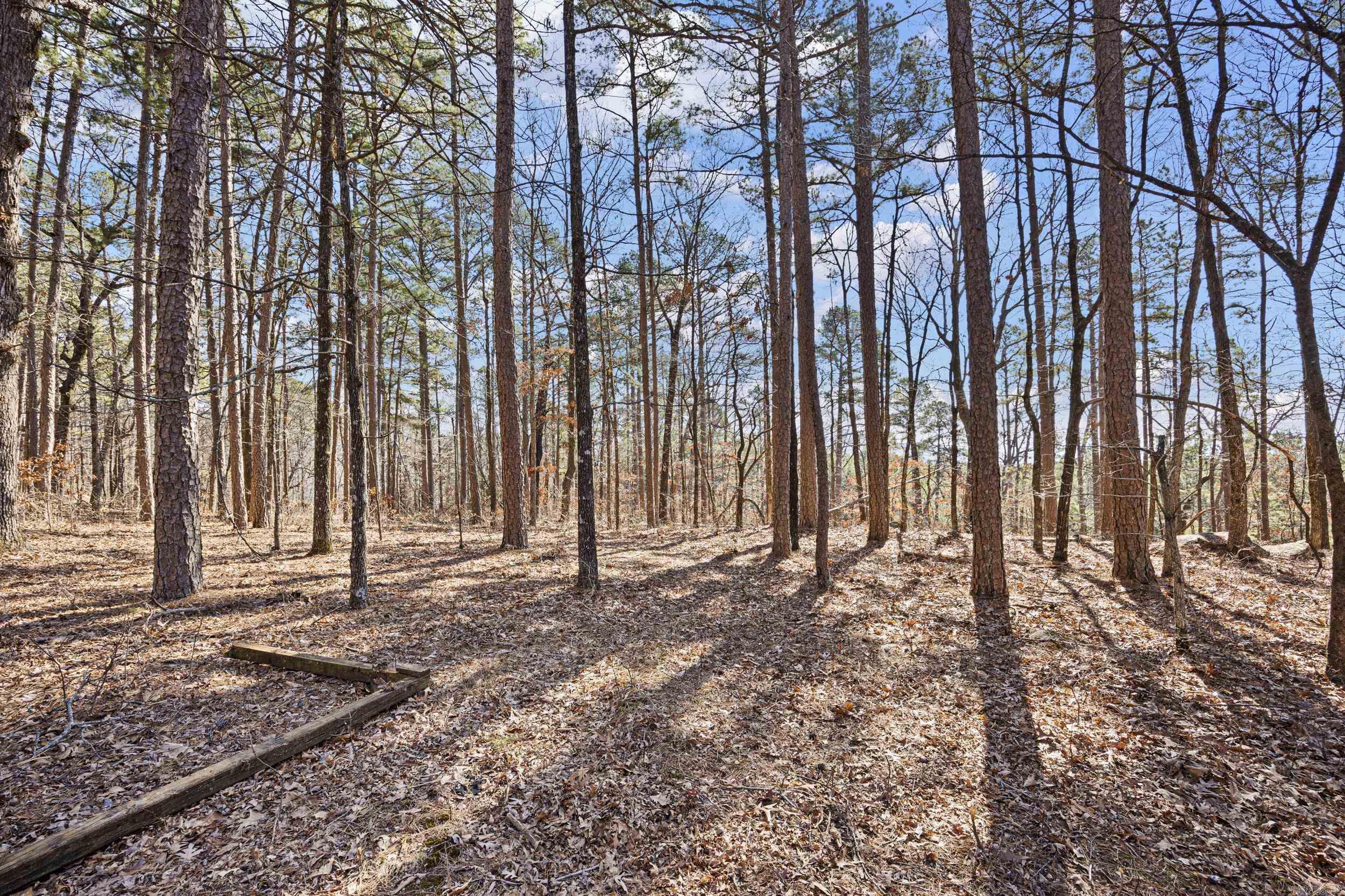  Pool Hollow  Dardanelle, AR