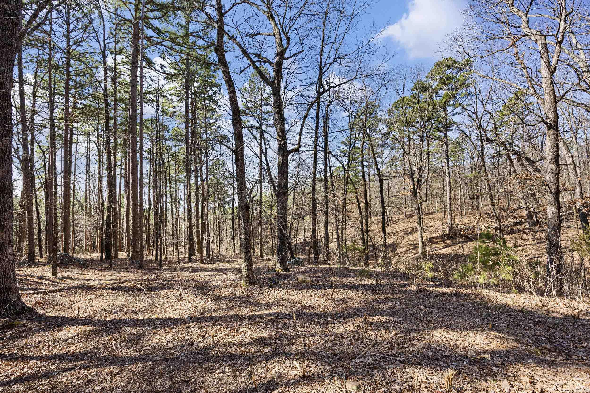  Pool Hollow  Dardanelle, AR