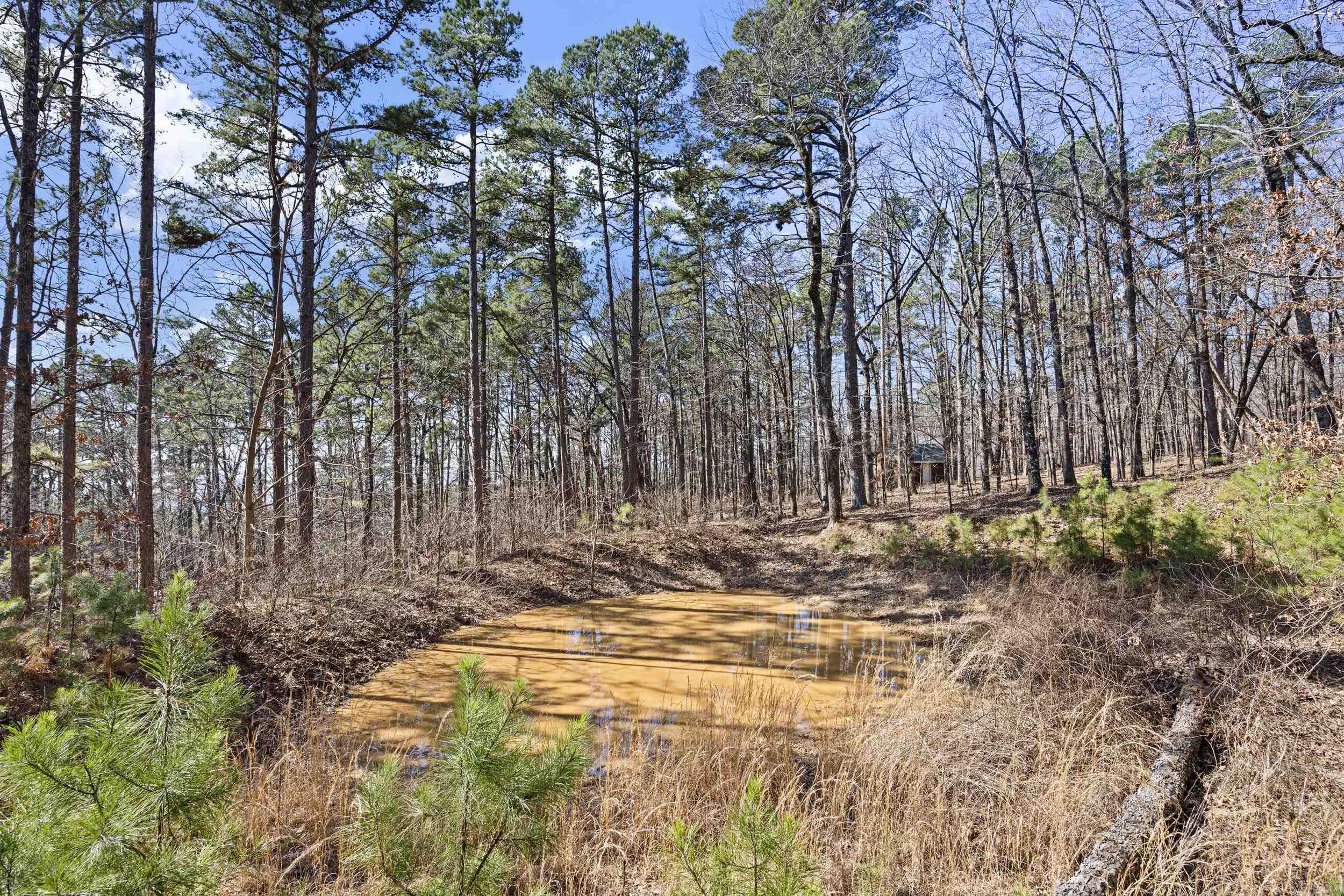  Pool Hollow  Dardanelle, AR