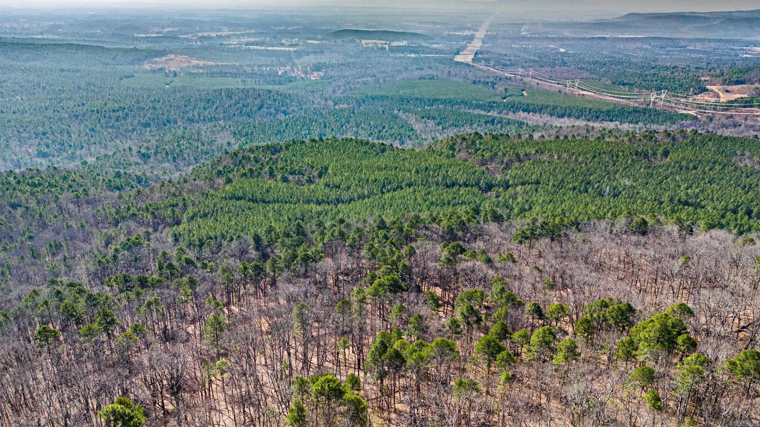  Pool Hollow  Dardanelle, AR