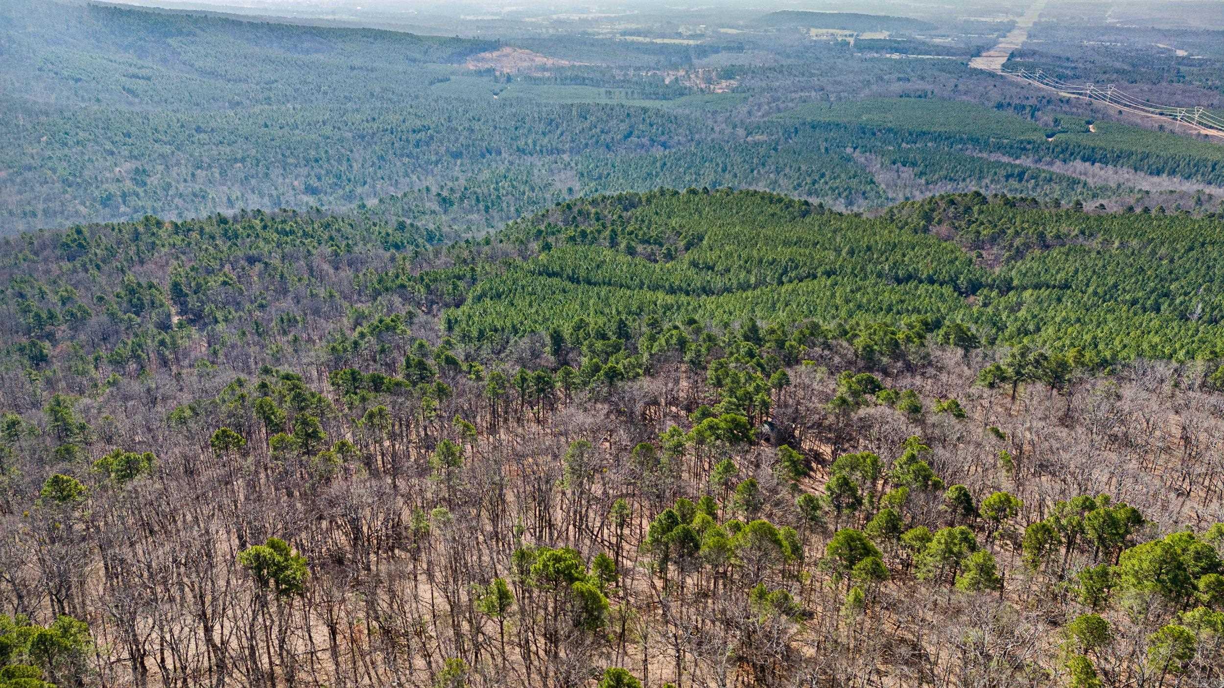  Pool Hollow  Dardanelle, AR