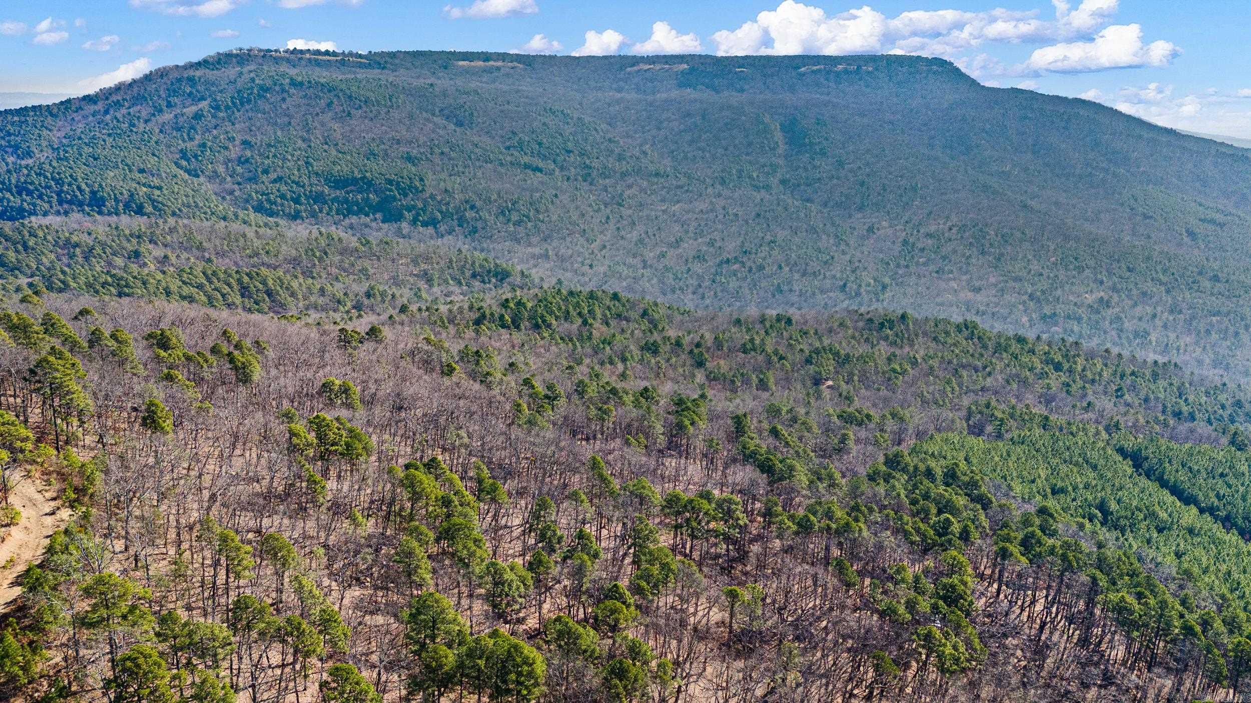  Pool Hollow  Dardanelle, AR