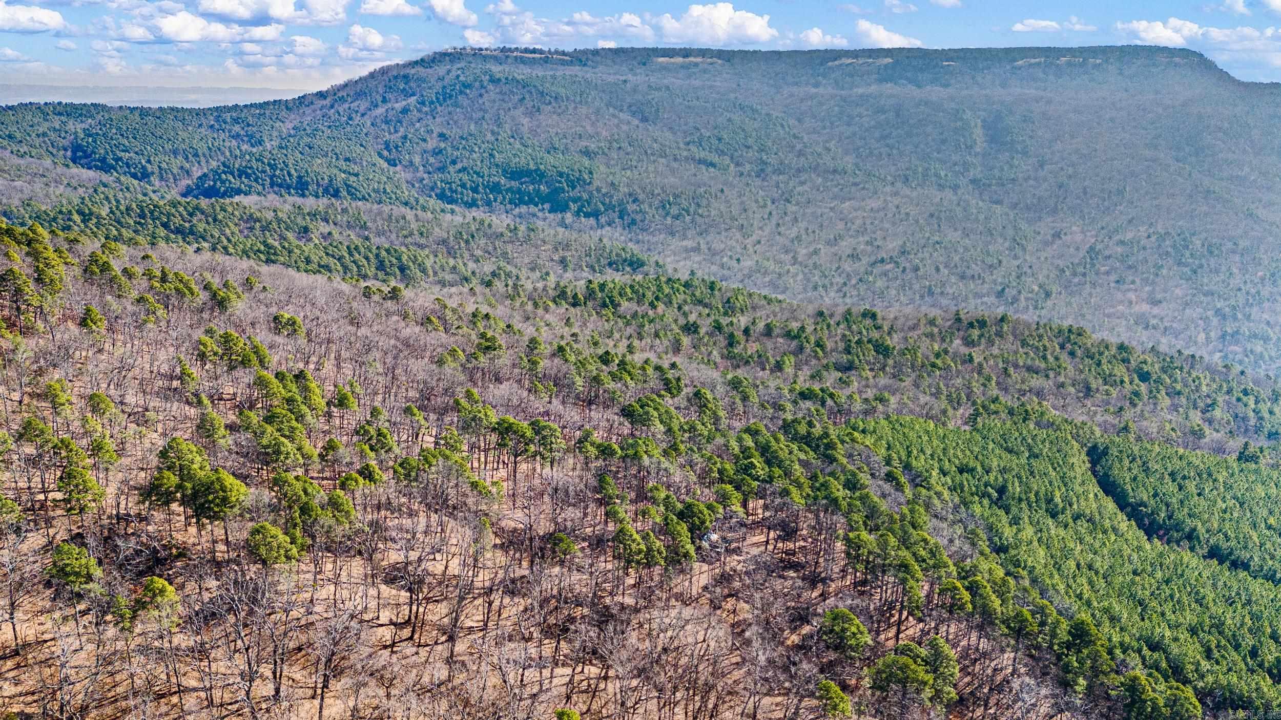  Pool Hollow  Dardanelle, AR
