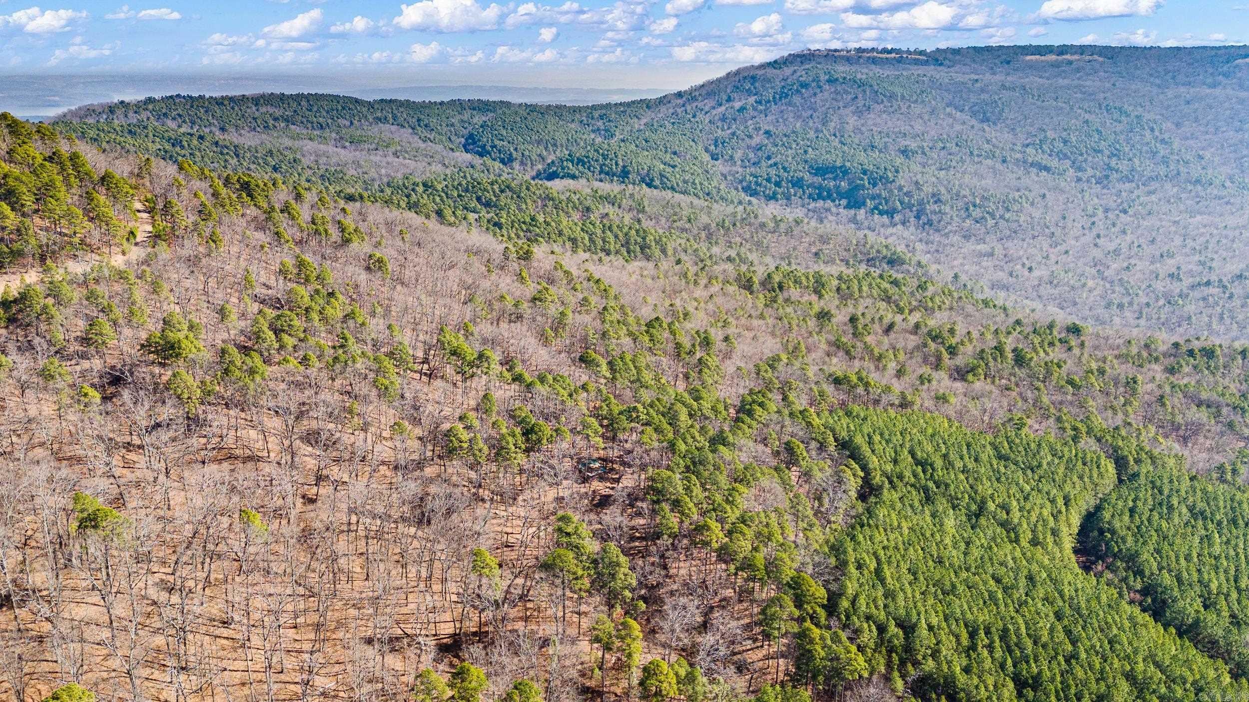  Pool Hollow  Dardanelle, AR