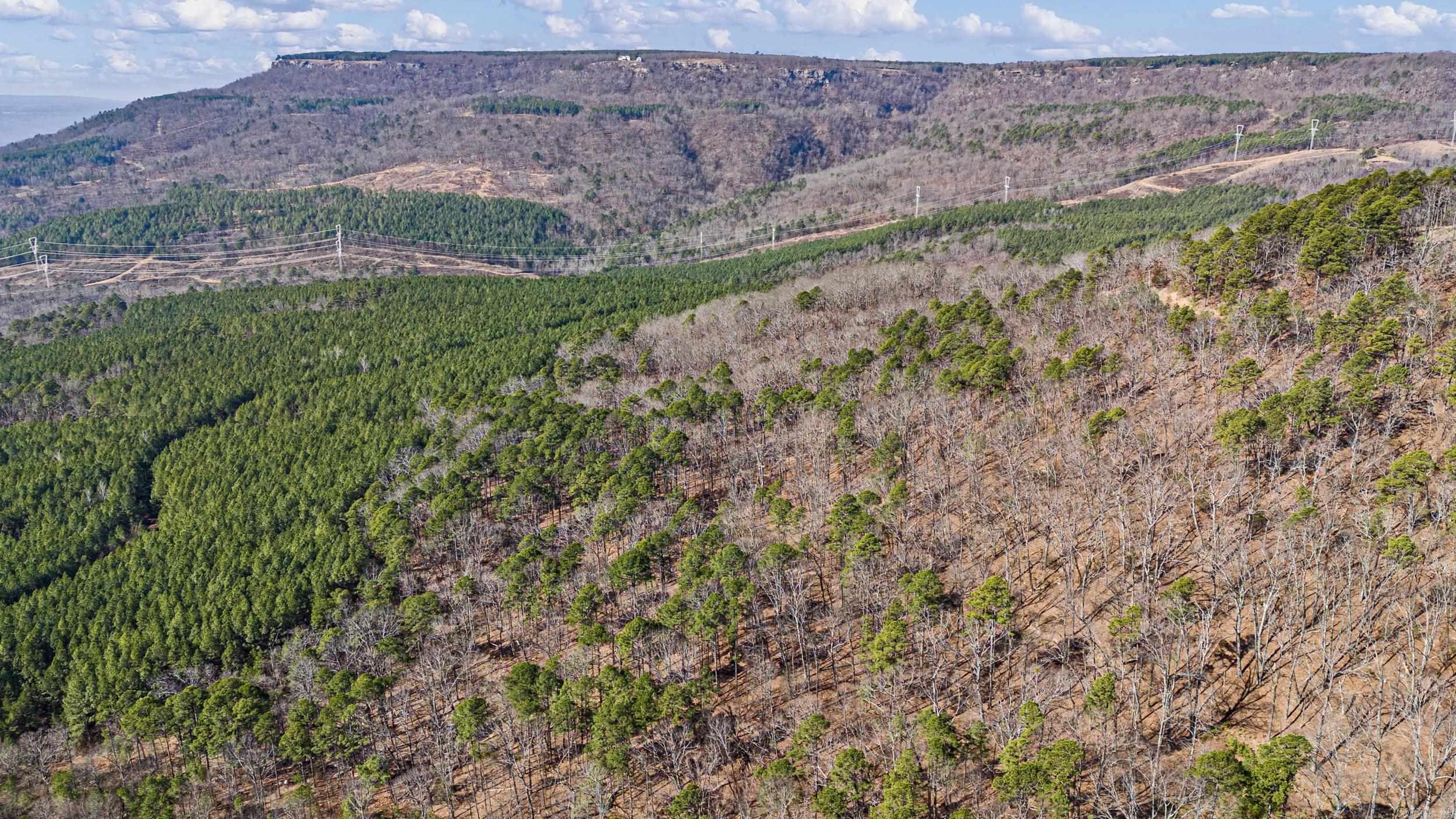  Pool Hollow  Dardanelle, AR