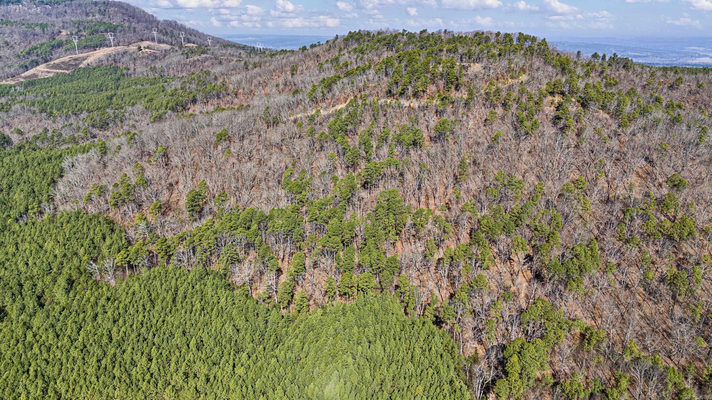  Pool Hollow  Dardanelle, AR