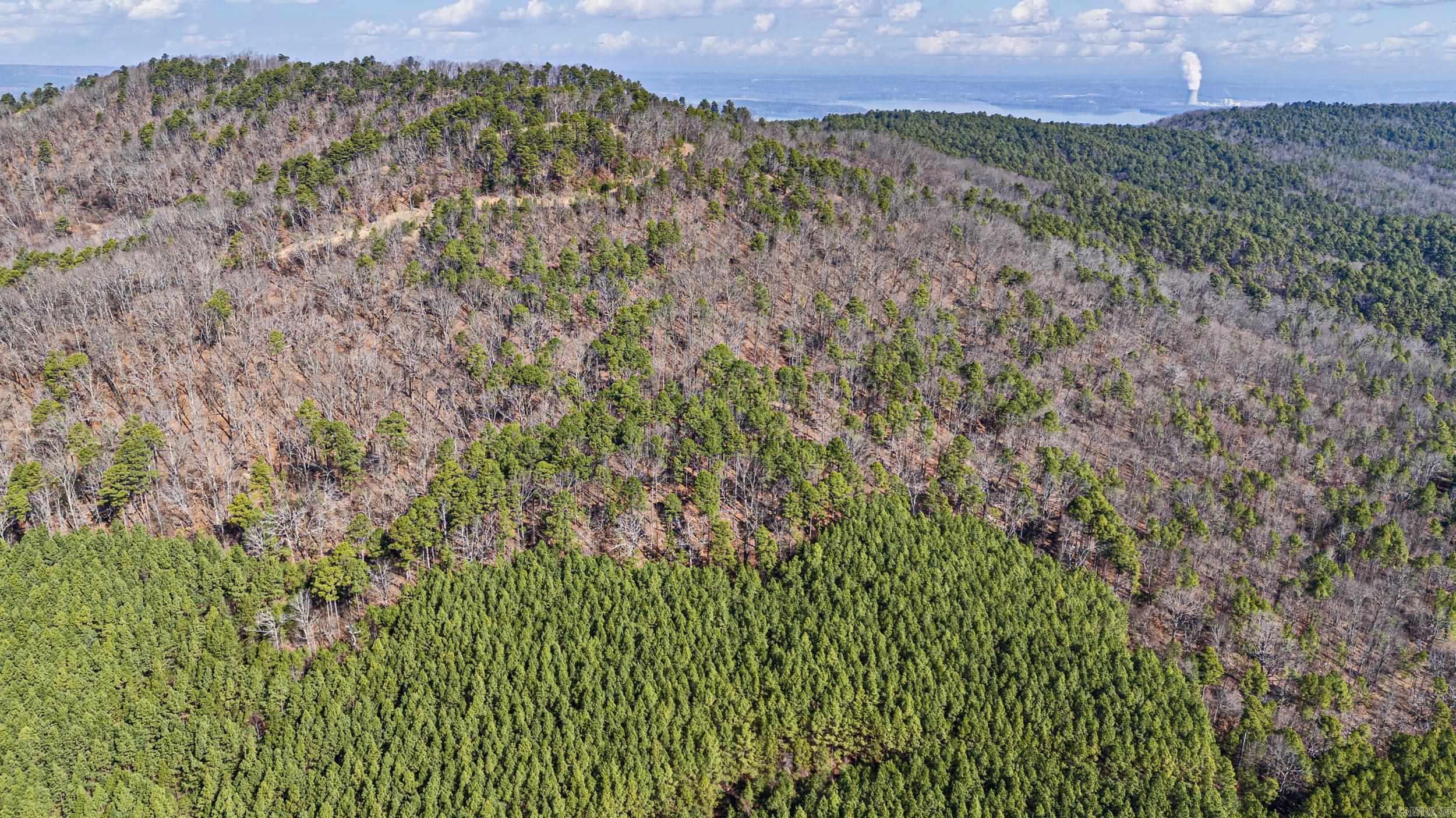  Pool Hollow  Dardanelle, AR