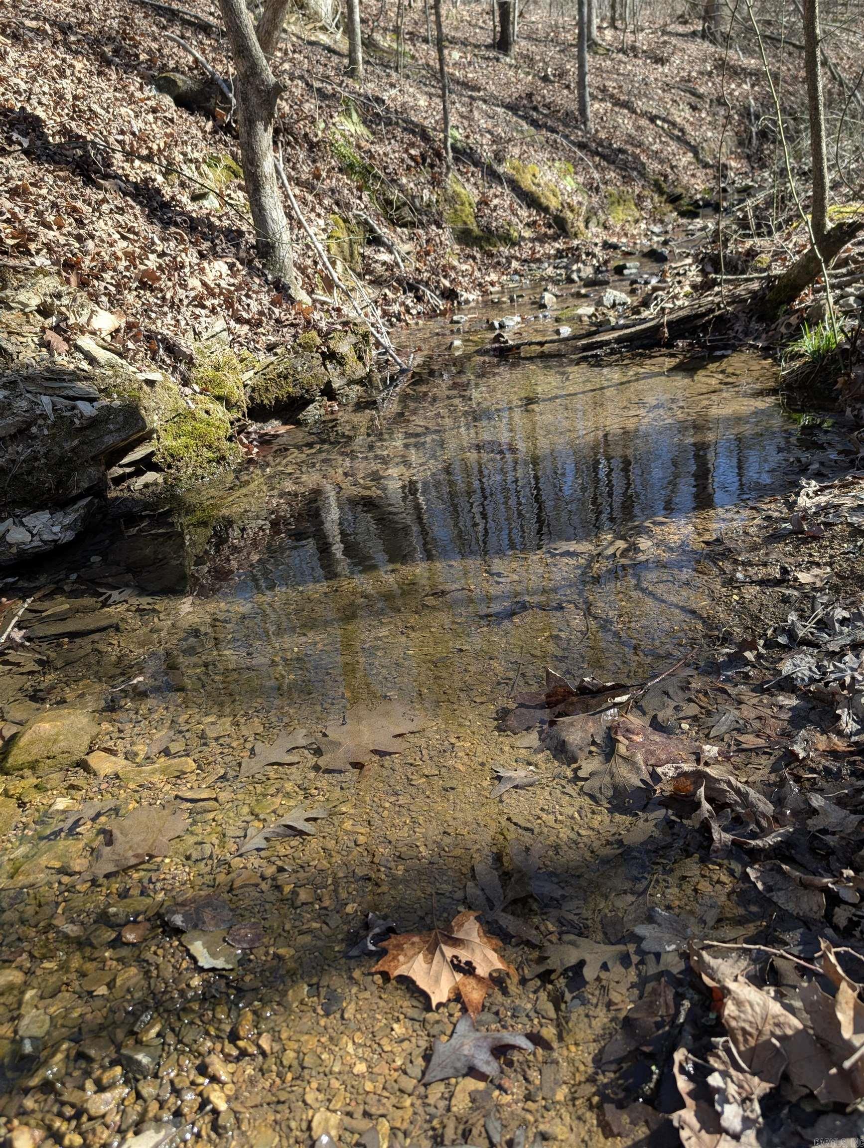 383 Massey Lane  Mena, AR