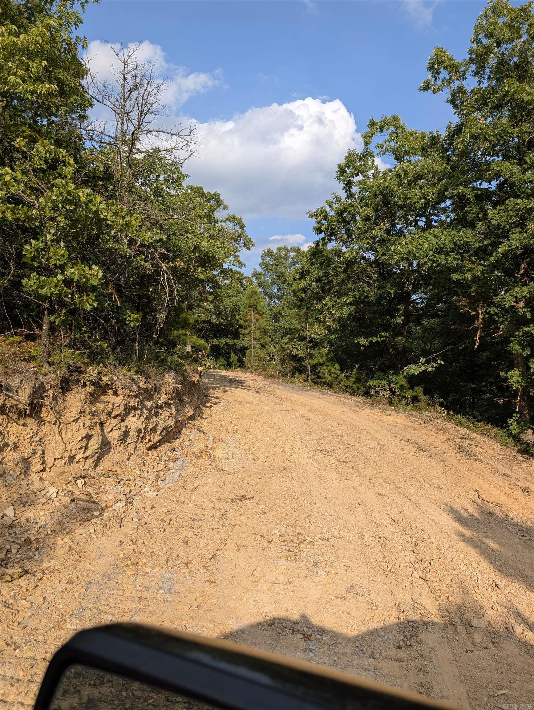 383A Massey Lane  Mena, AR