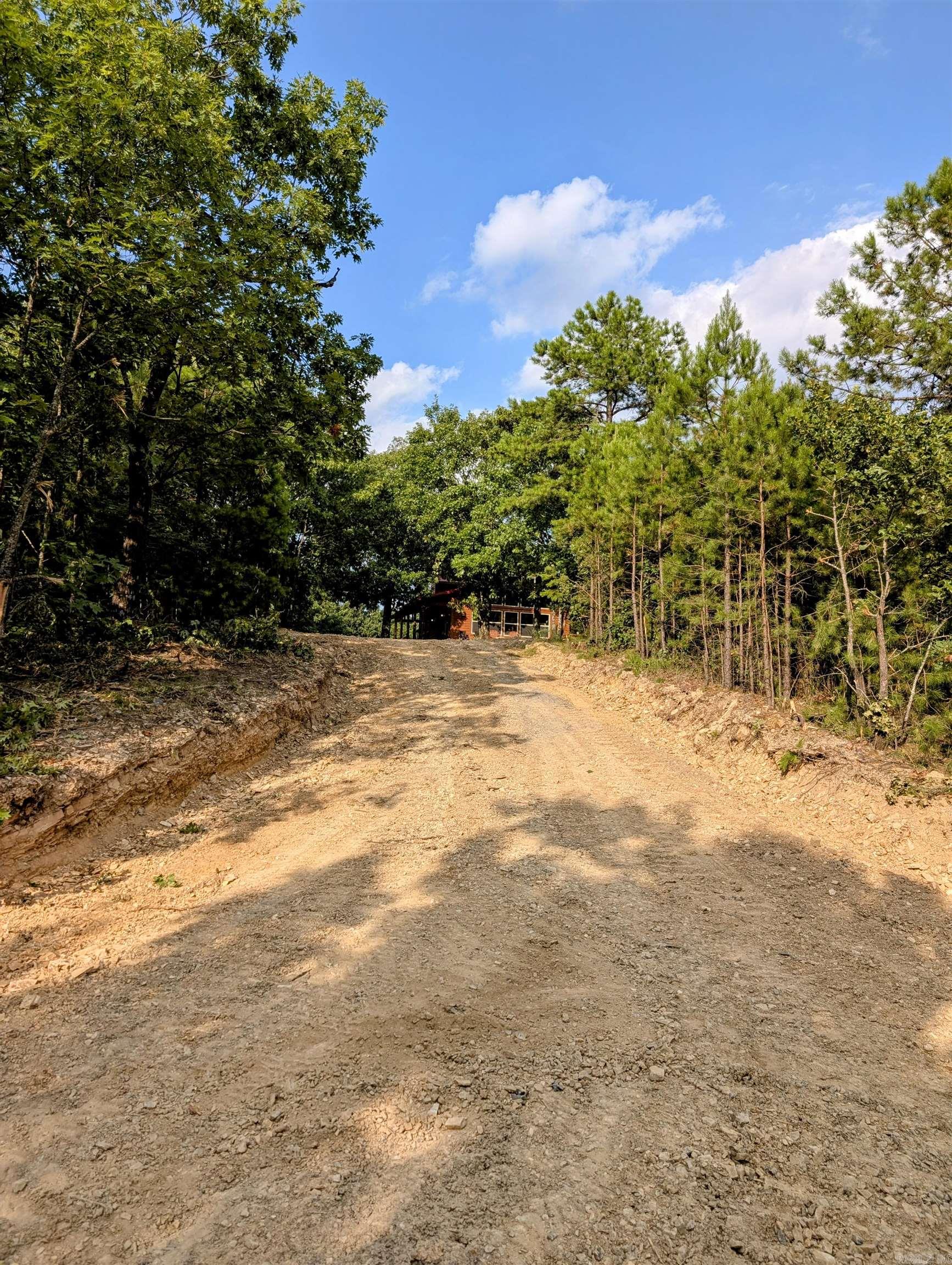 383A Massey Lane  Mena, AR