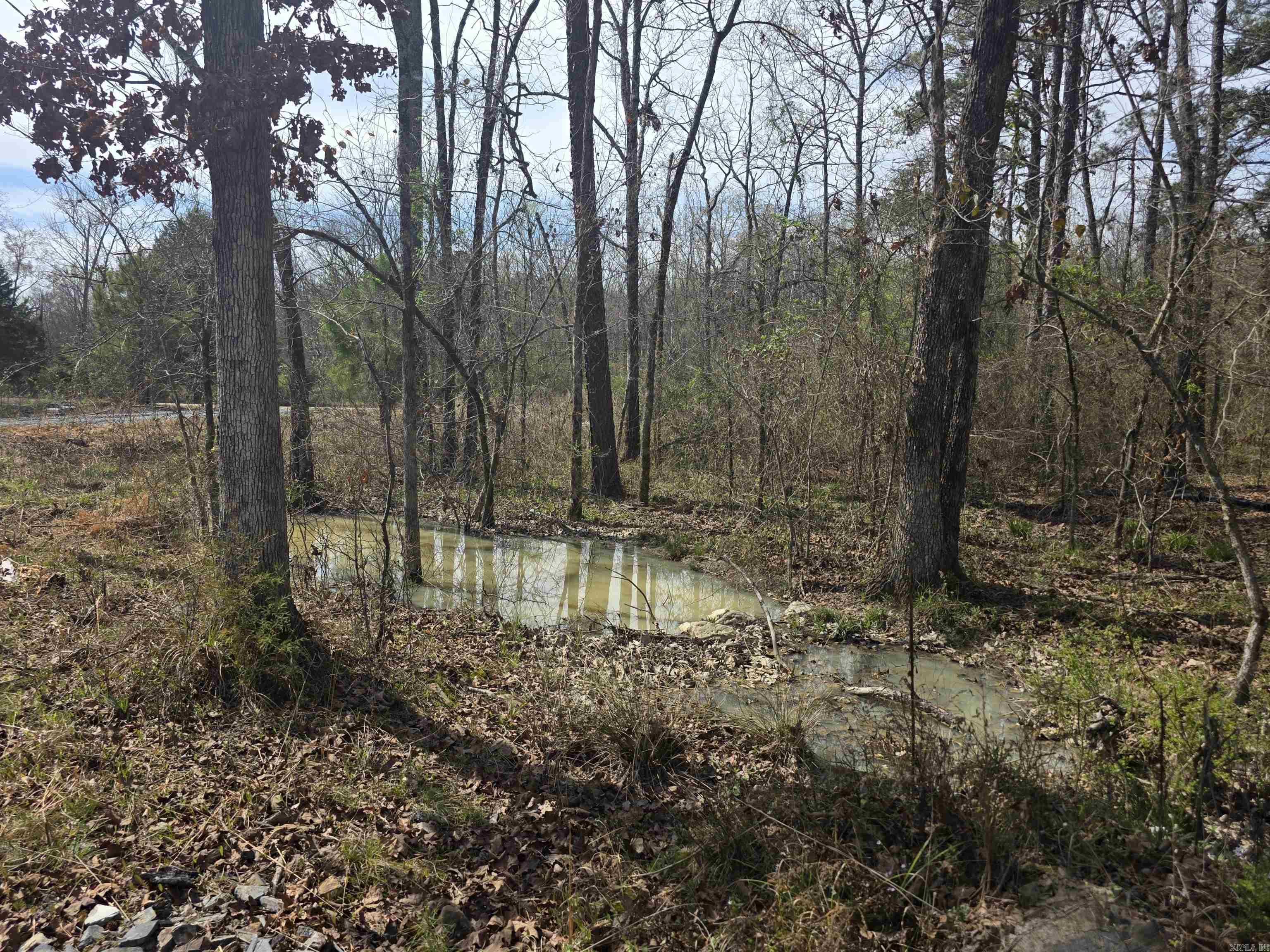 160 Polk Road 721  Mena, AR