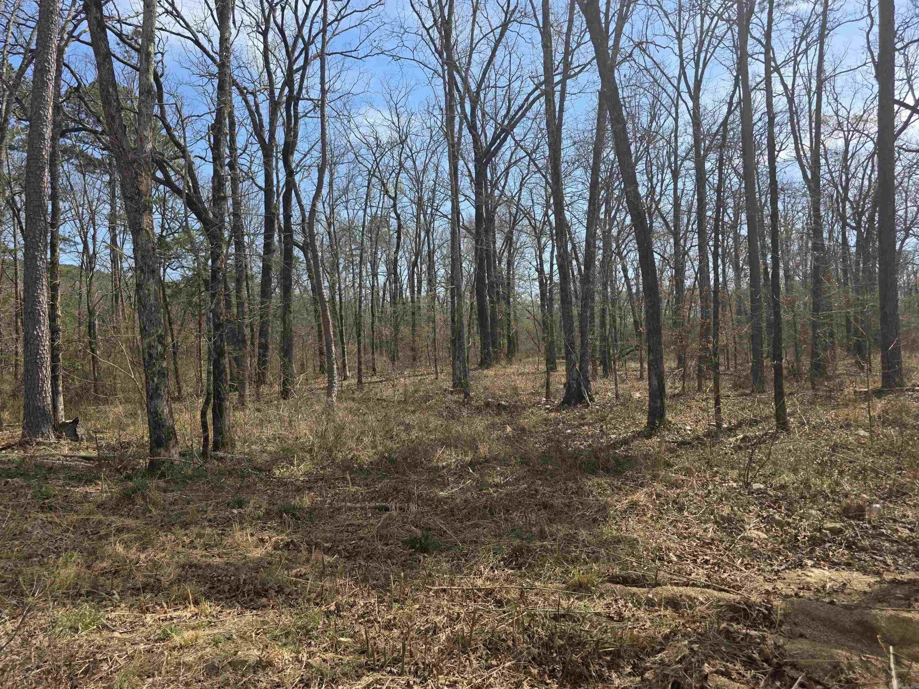 160 Polk Road 721  Mena, AR