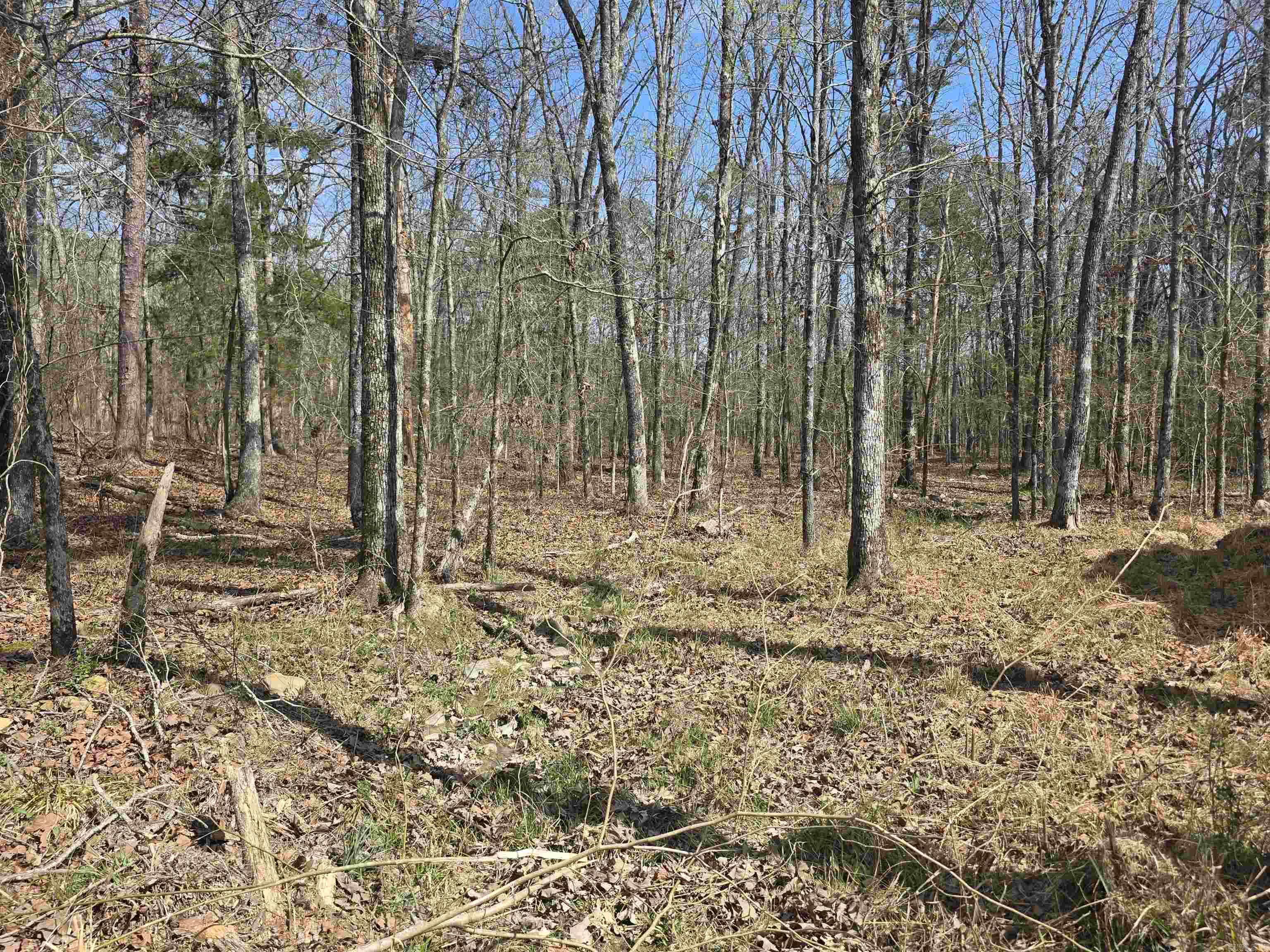 160 Polk Road 721  Mena, AR