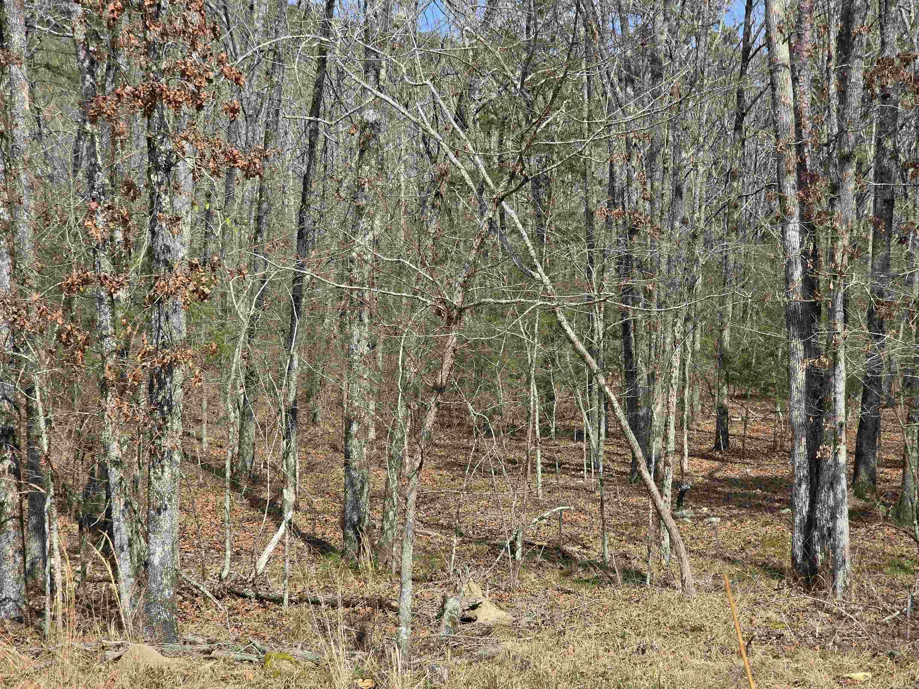 160 Polk Road 721  Mena, AR