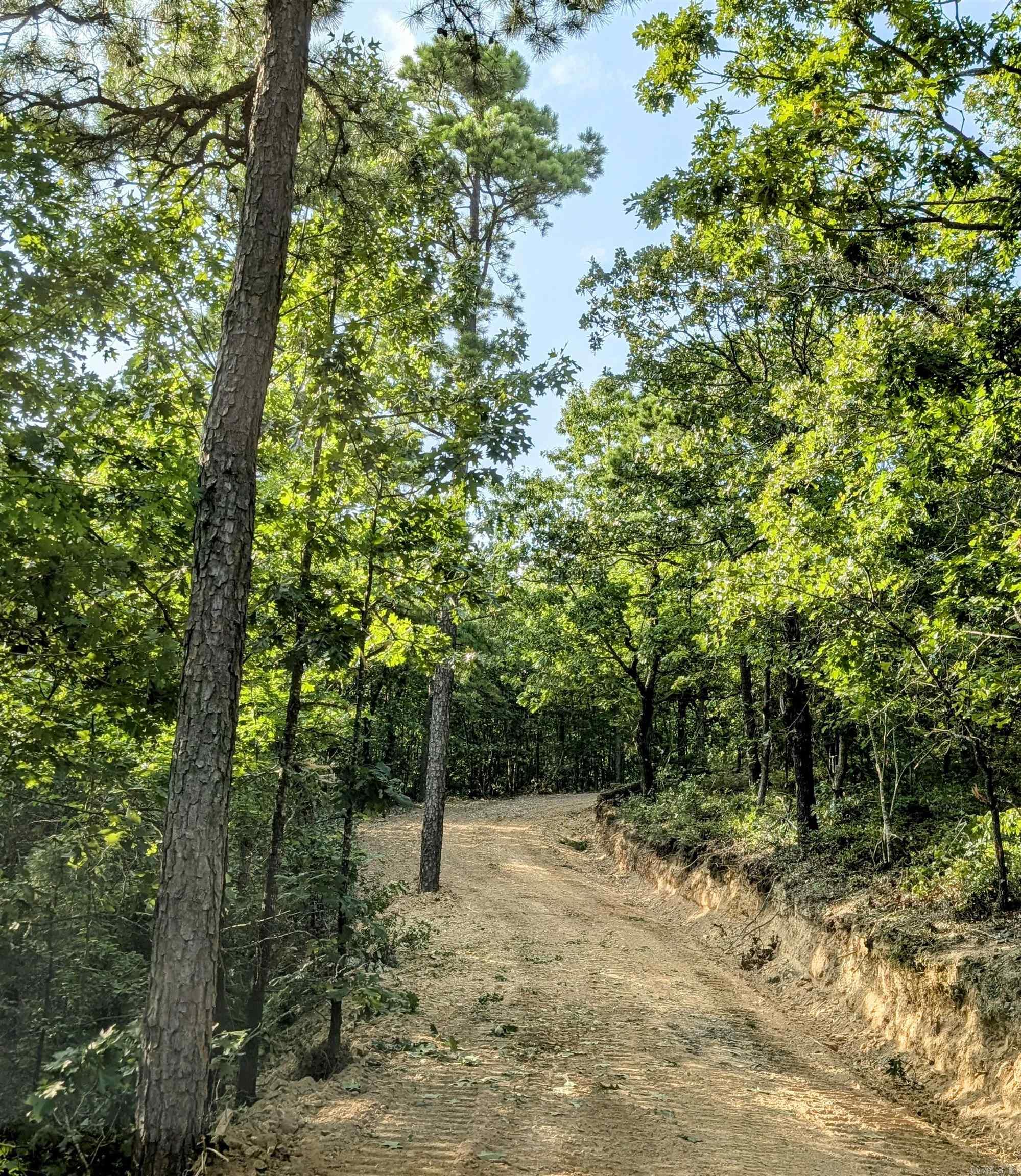 383B Massey Lane  Mena, AR