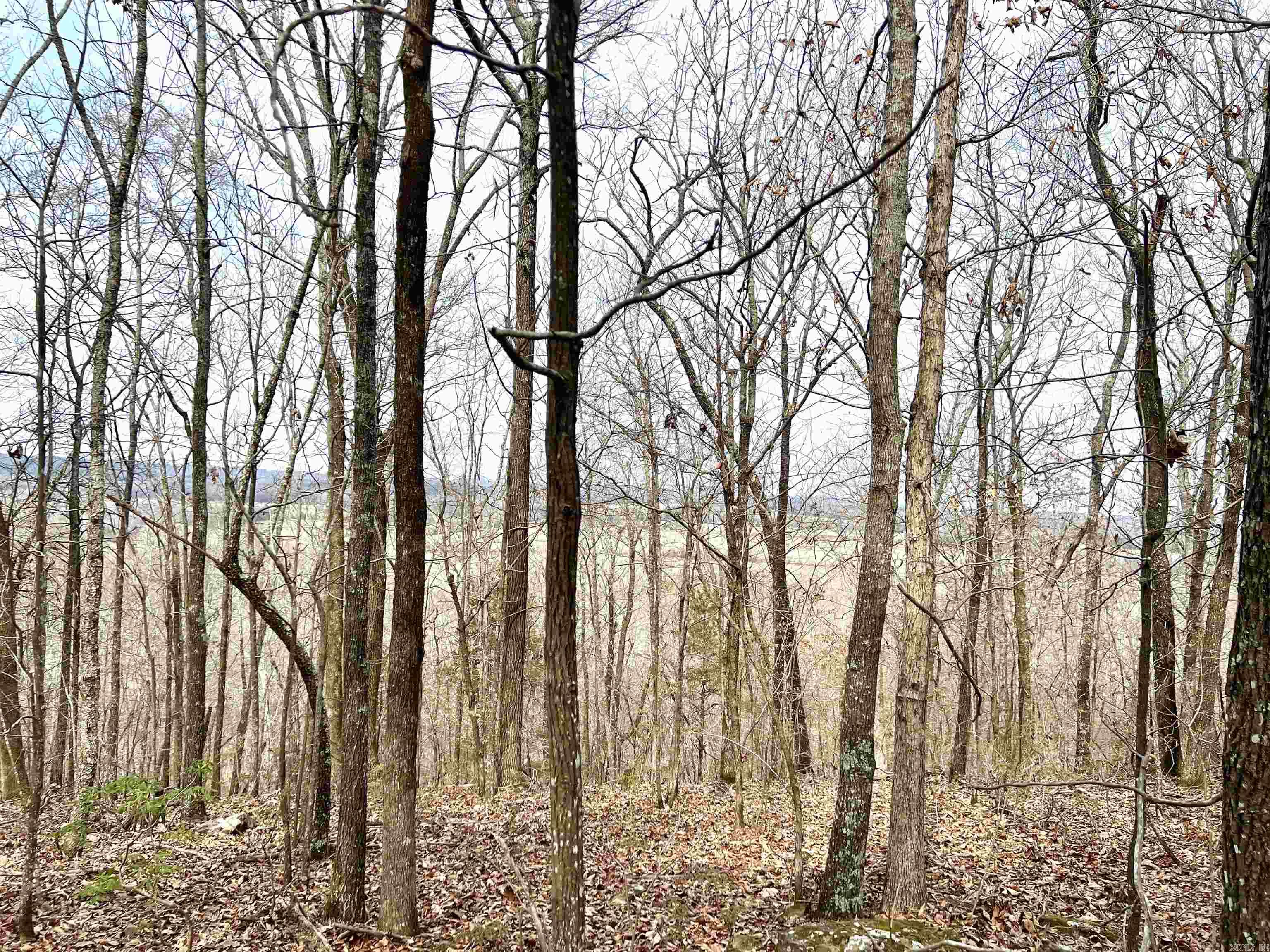 36 (approx) Bayou  Vilonia, AR