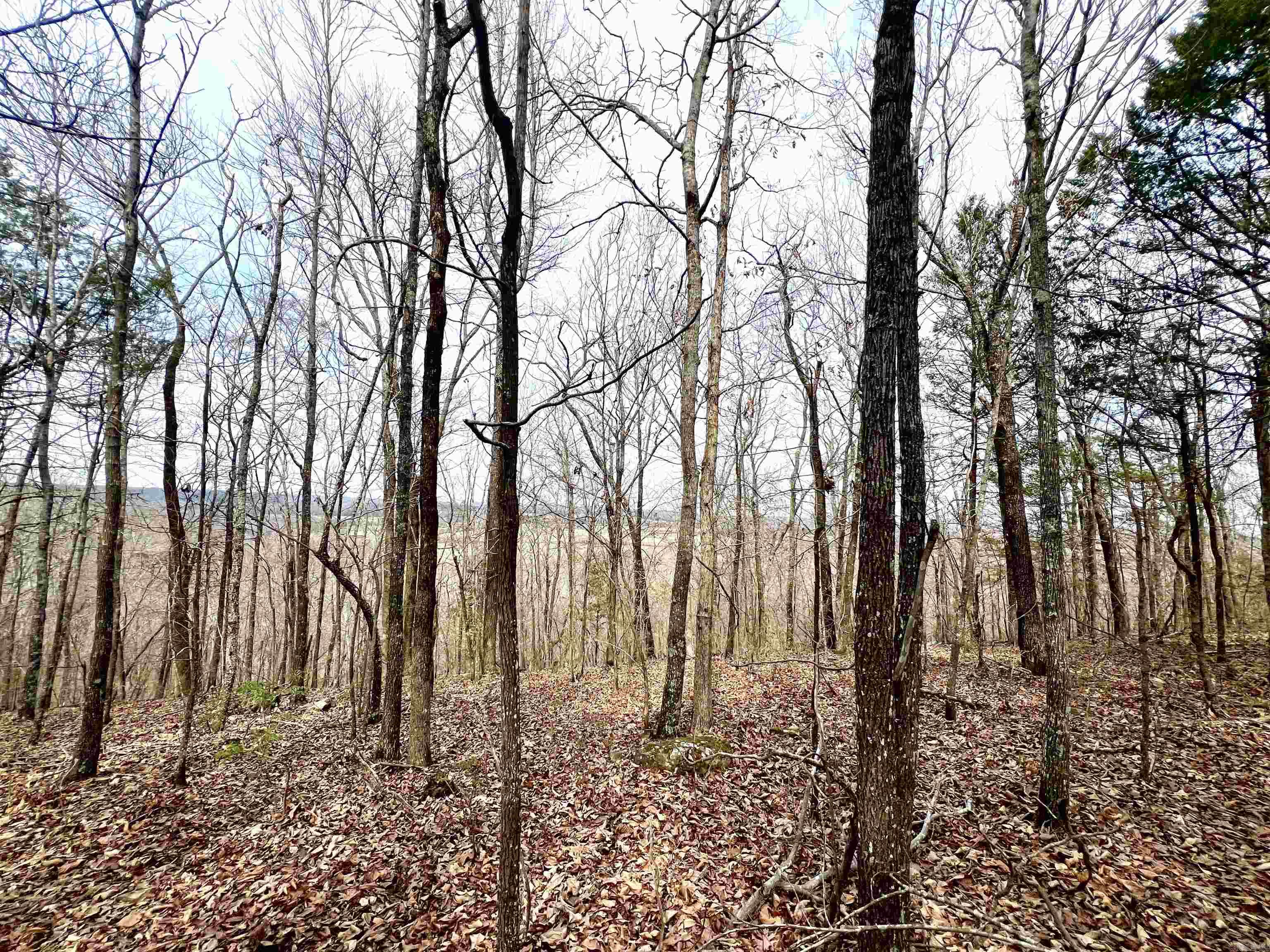 36 (approx) Bayou  Vilonia, AR