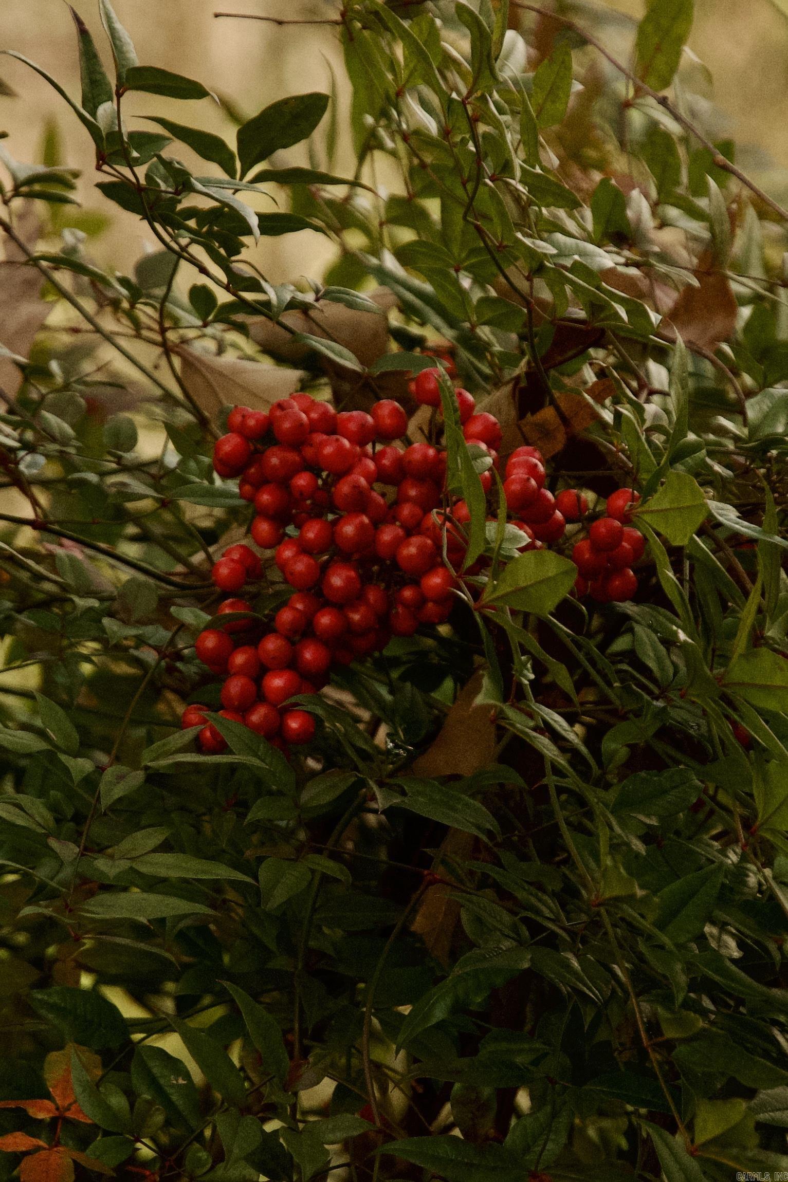 208 Ridge One  Hot Springs, AR