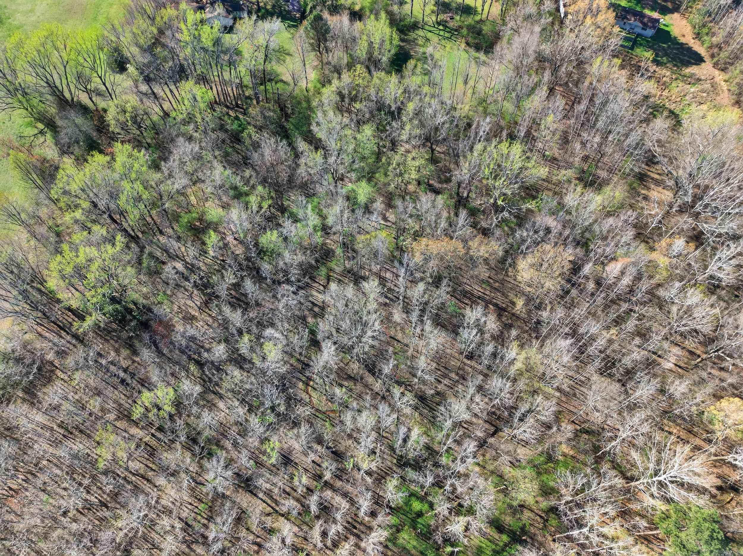 732 Pickthorne Road  Cabot, AR