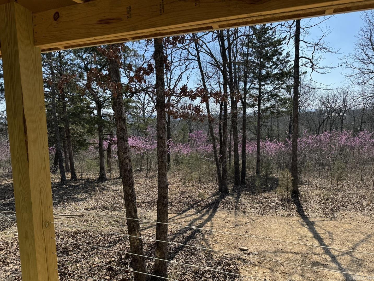 870 Chriswood  Clarkridge, AR