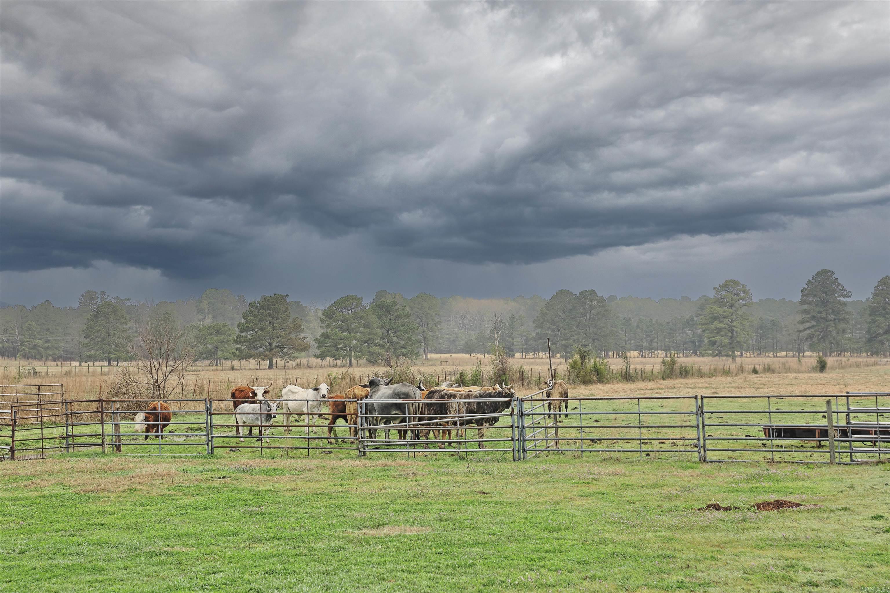 7407 W 13th  Pine Bluff, AR