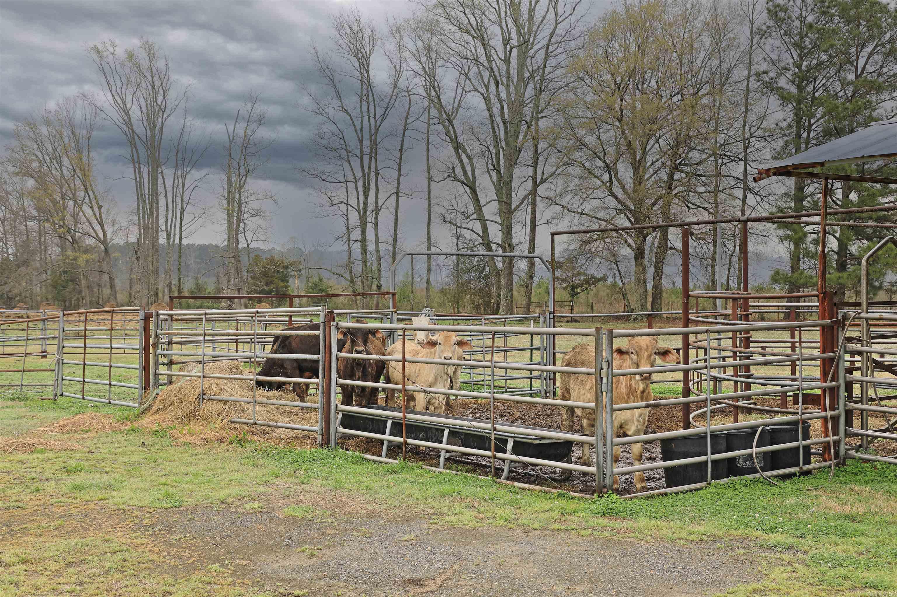 7407 W 13th  Pine Bluff, AR