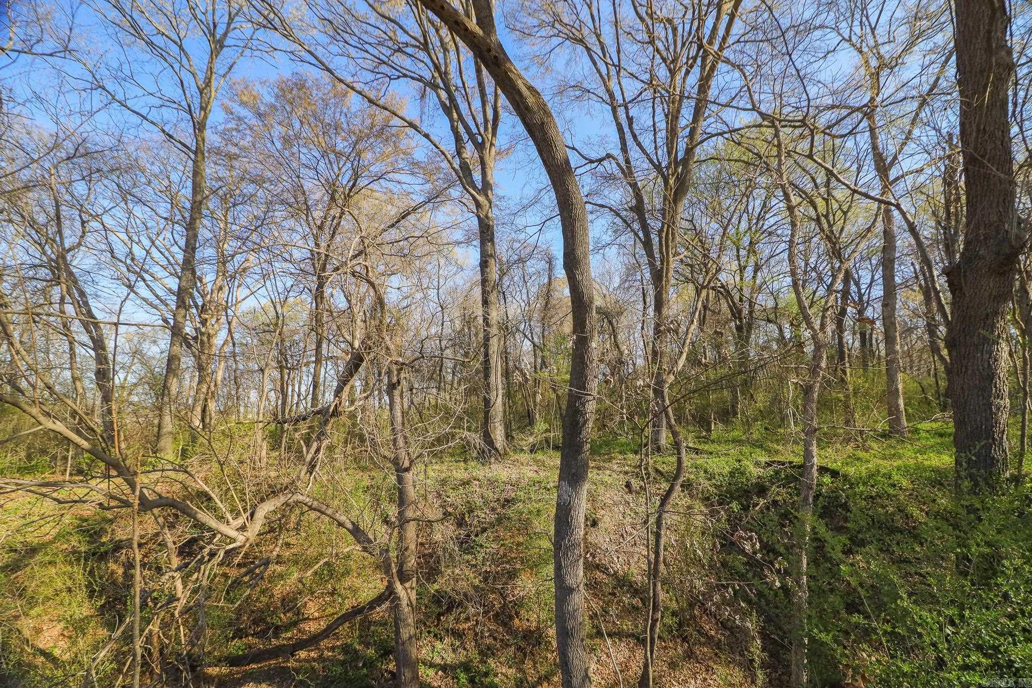 6.05 Acres Old Military  Harrisburg, AR