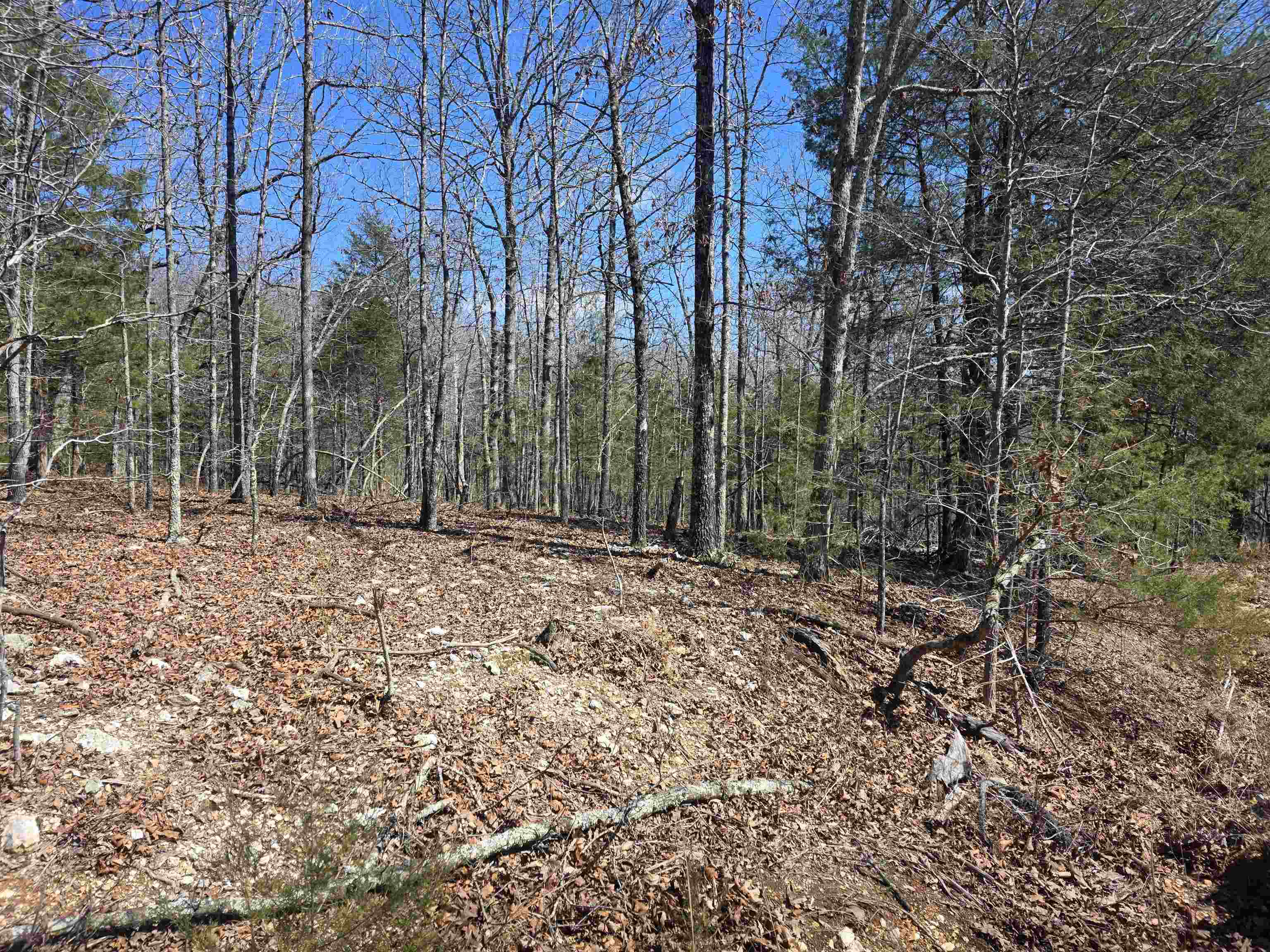 L28 B3 Gheetowaga  Cherokee Village, AR