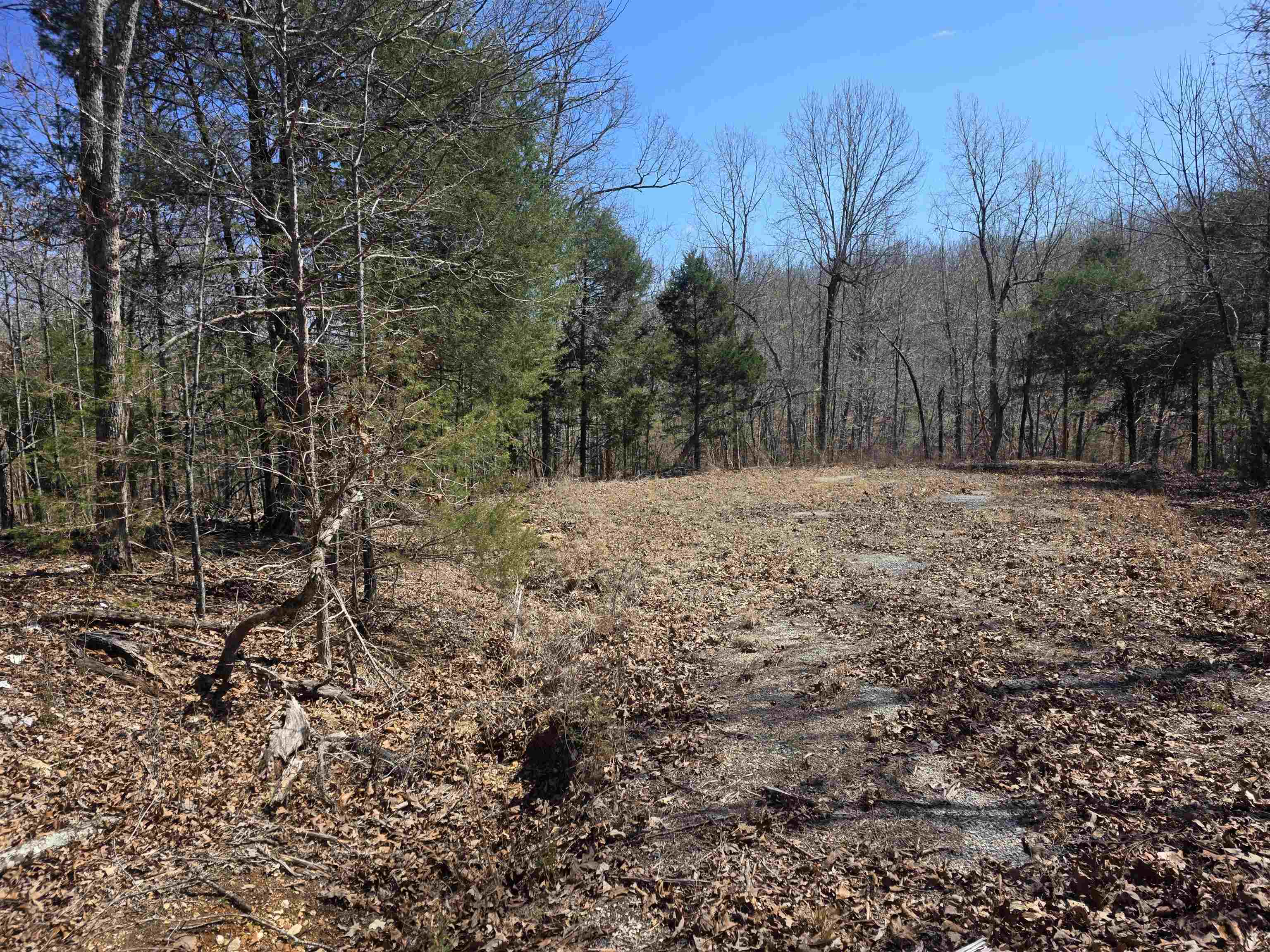 L28 B3 Gheetowaga  Cherokee Village, AR