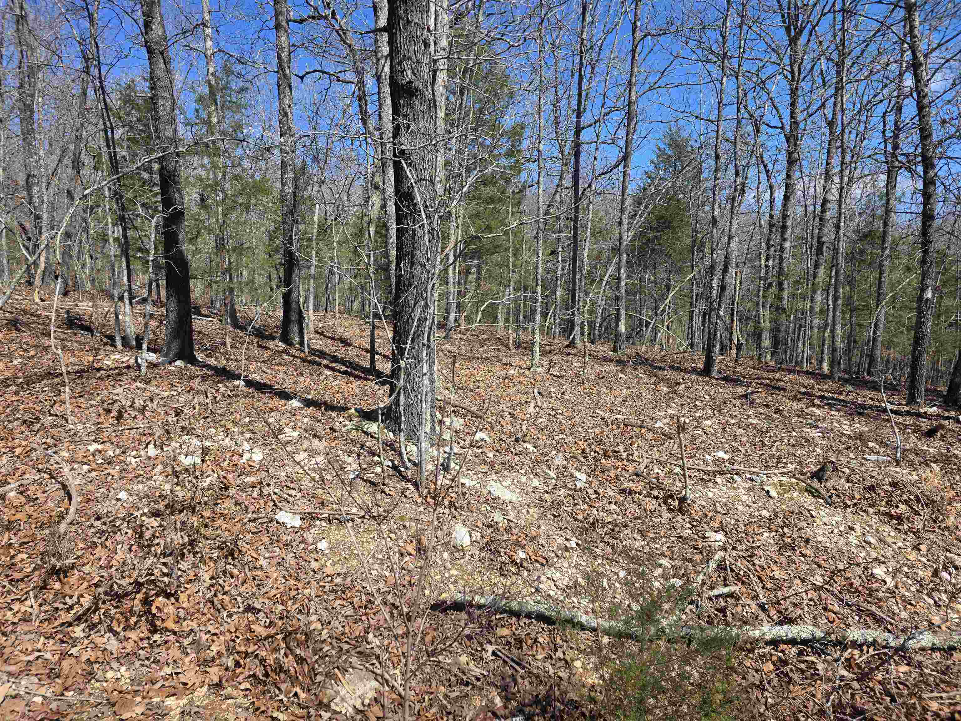 L28 B3 Gheetowaga  Cherokee Village, AR