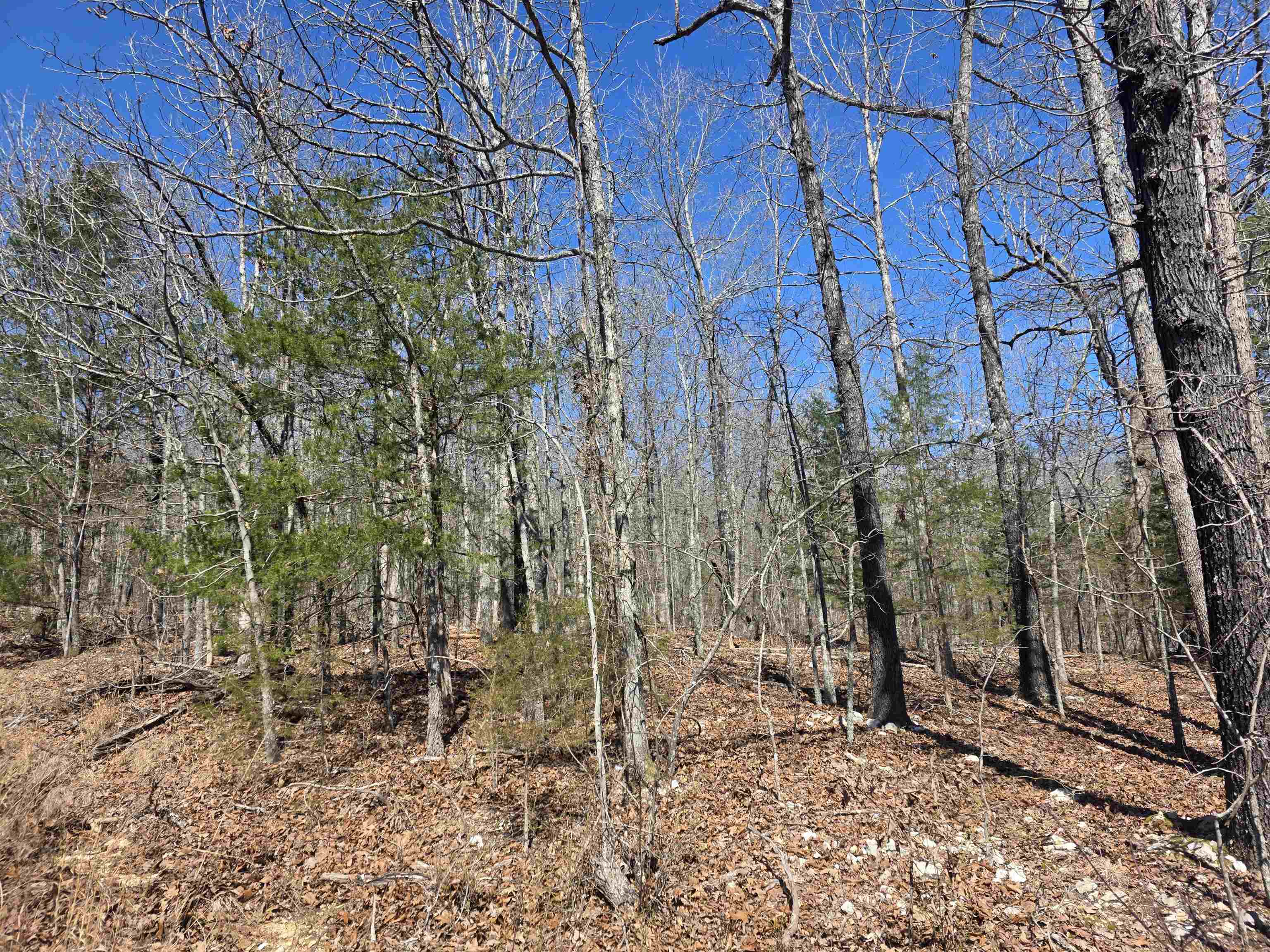 L28 B3 Gheetowaga  Cherokee Village, AR