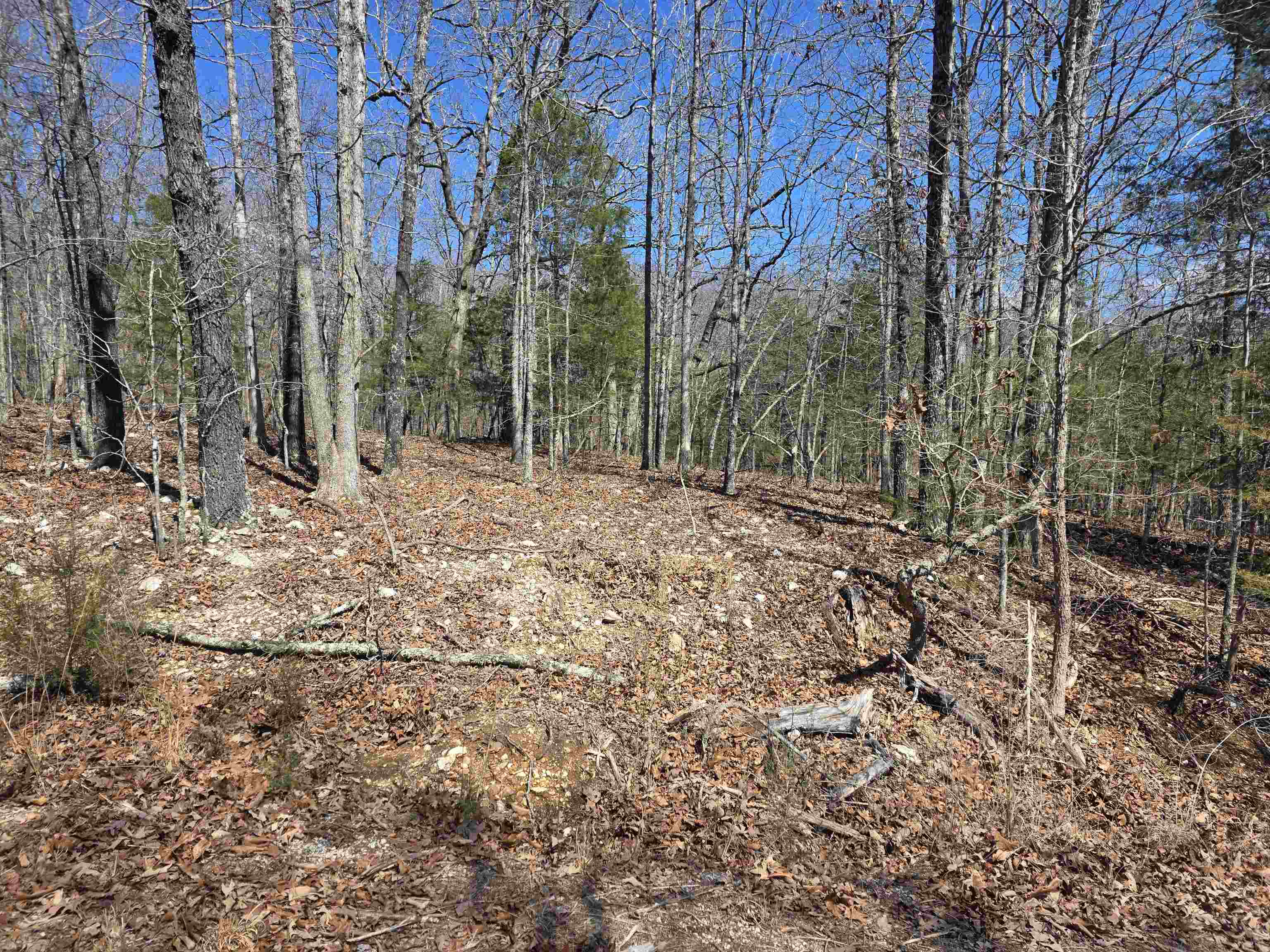 L28 B3 Gheetowaga  Cherokee Village, AR