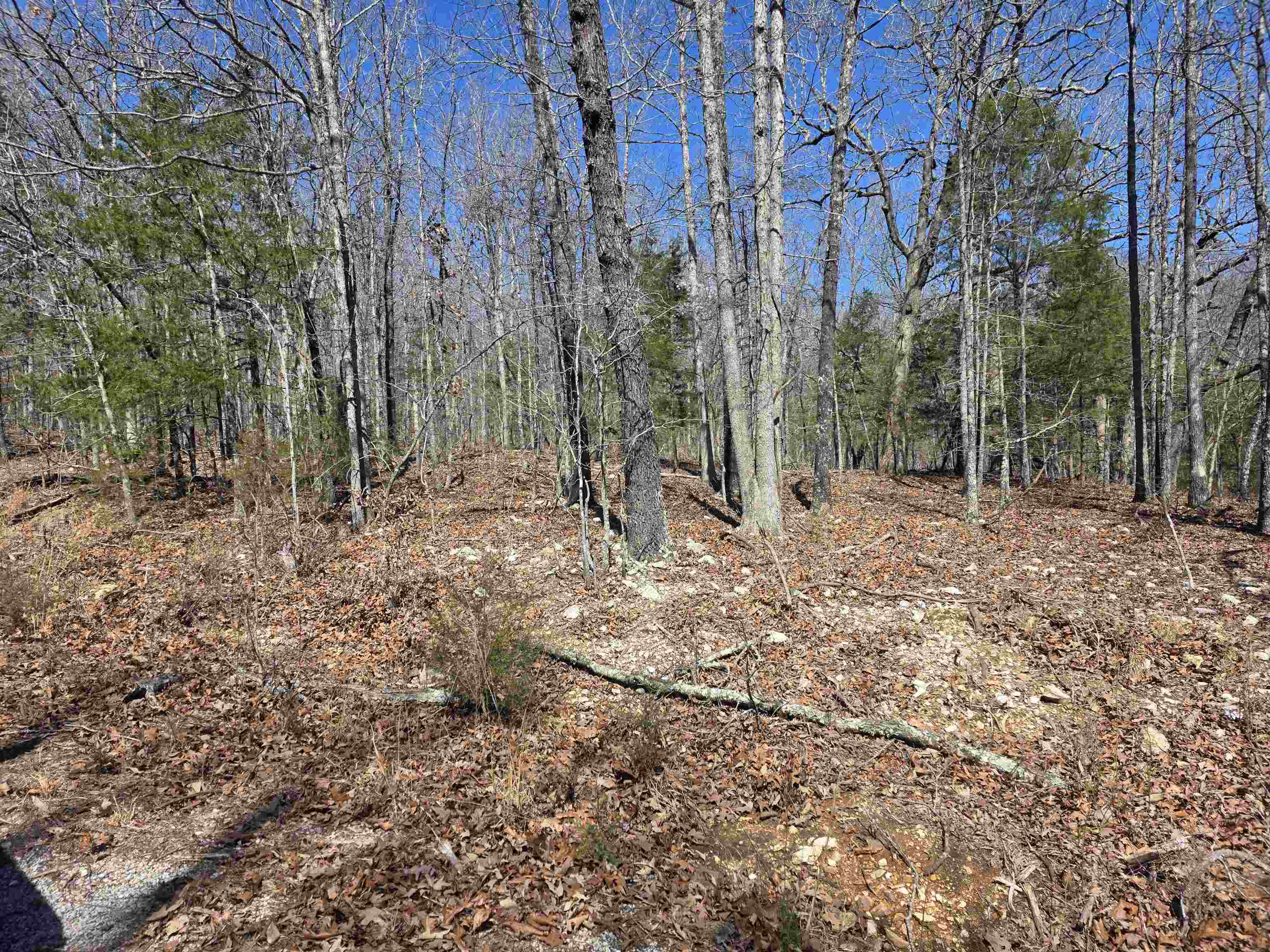 L28 B3 Gheetowaga  Cherokee Village, AR