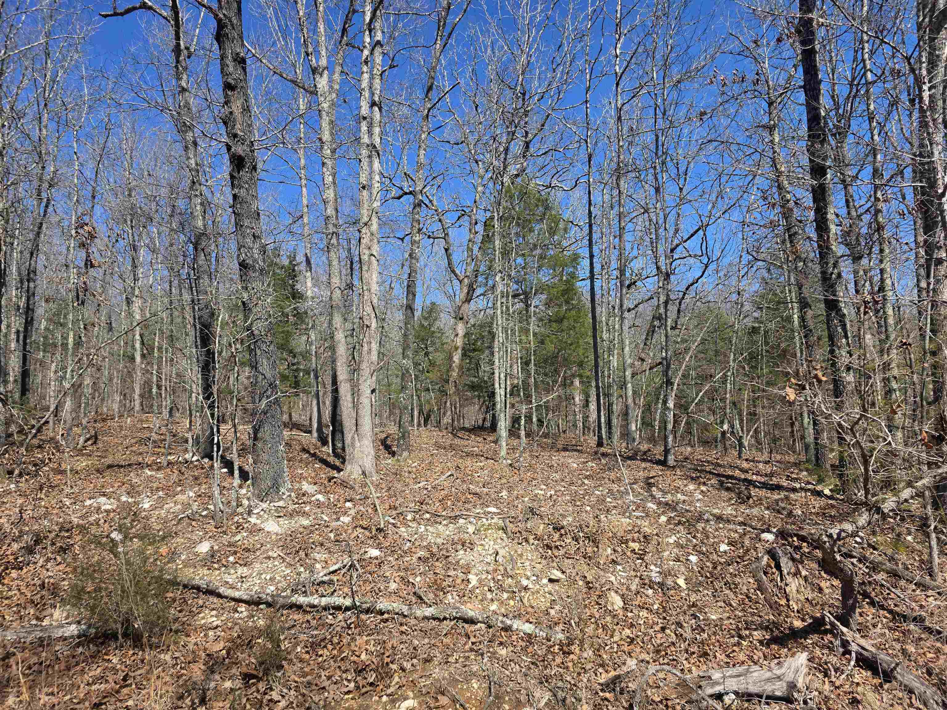 L28 B3 Gheetowaga  Cherokee Village, AR