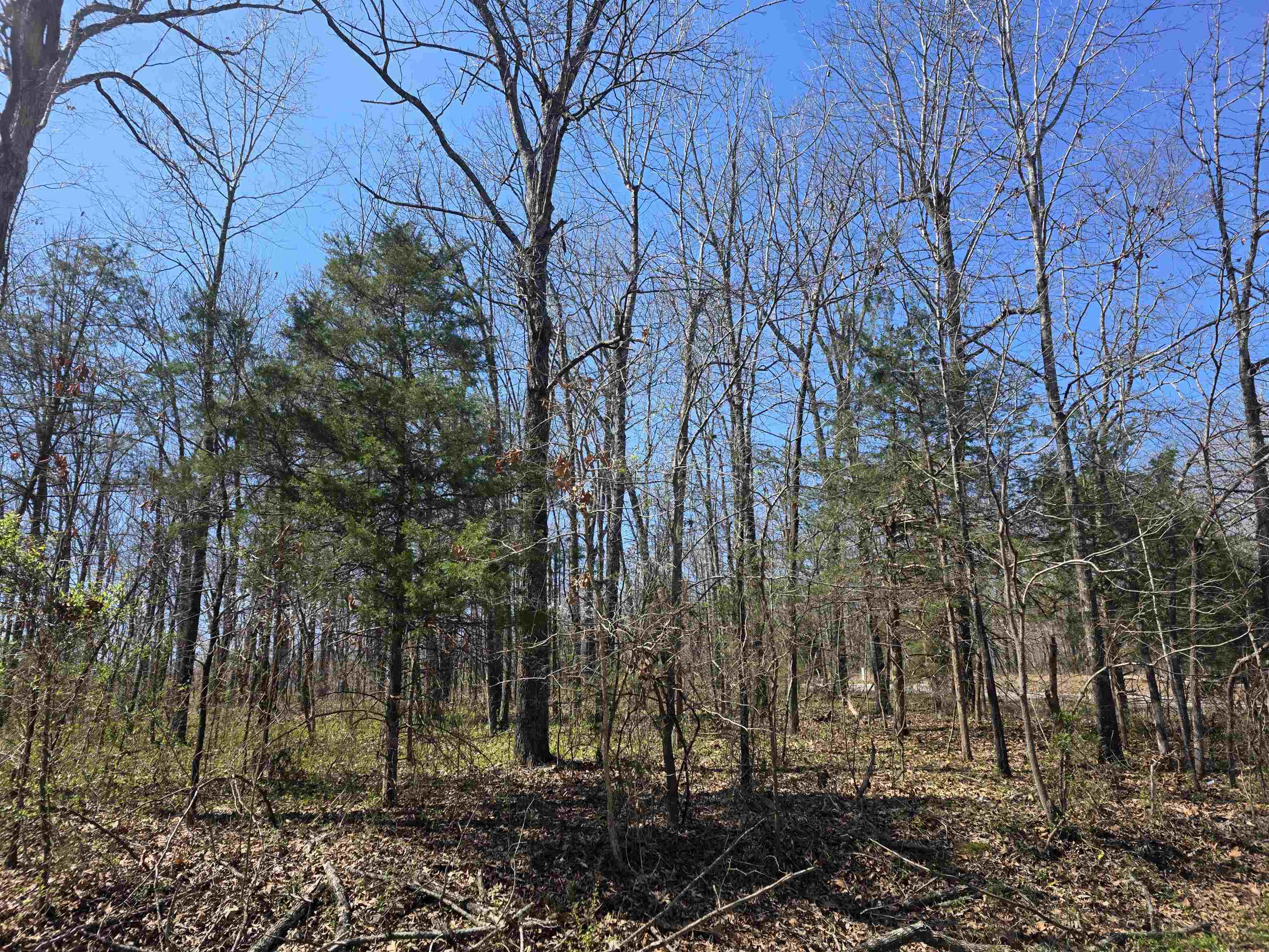 L23 B2 West Lake Addn  Ozark Acres, AR