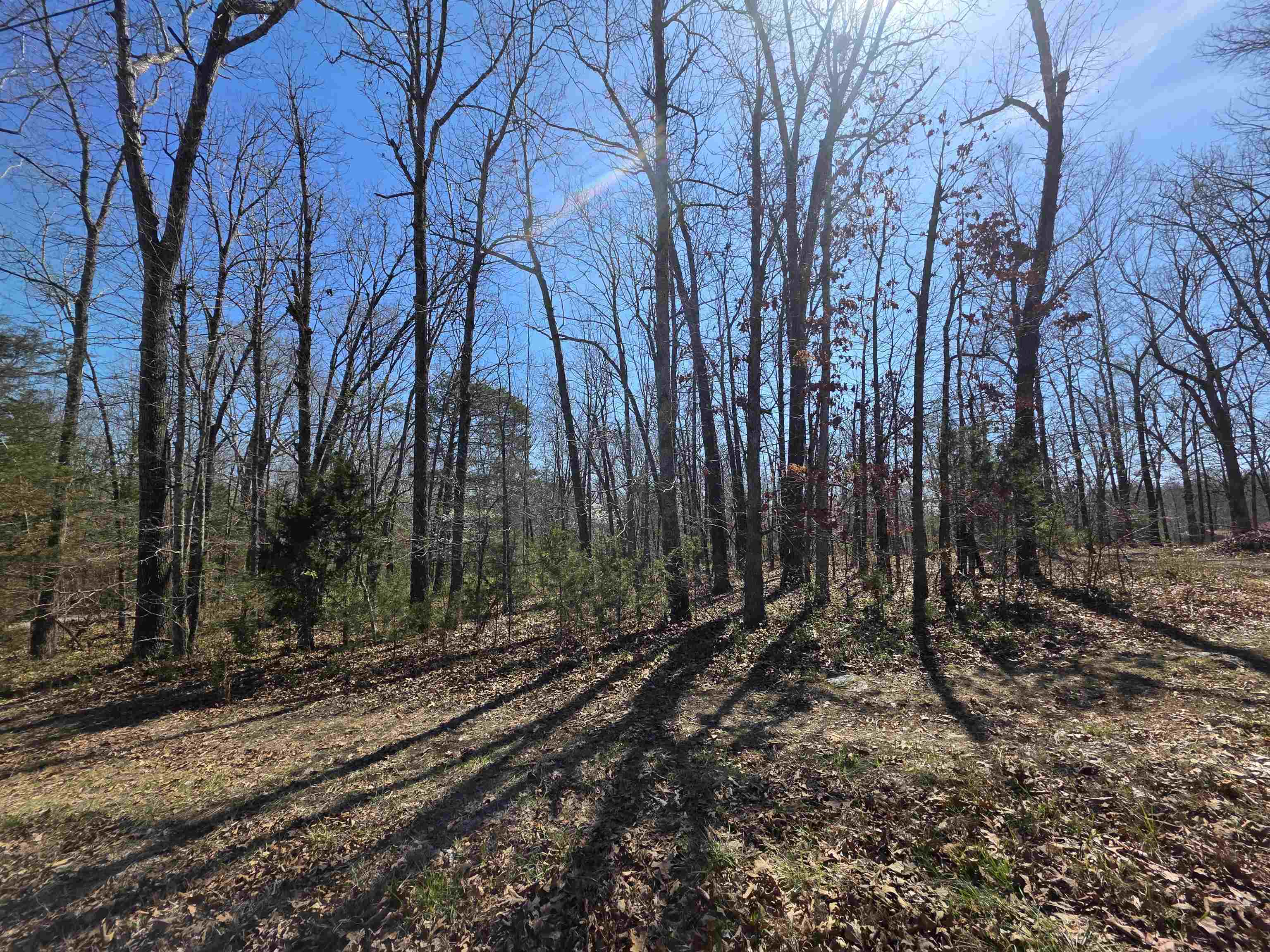 L23 B2 West Lake Addn  Ozark Acres, AR