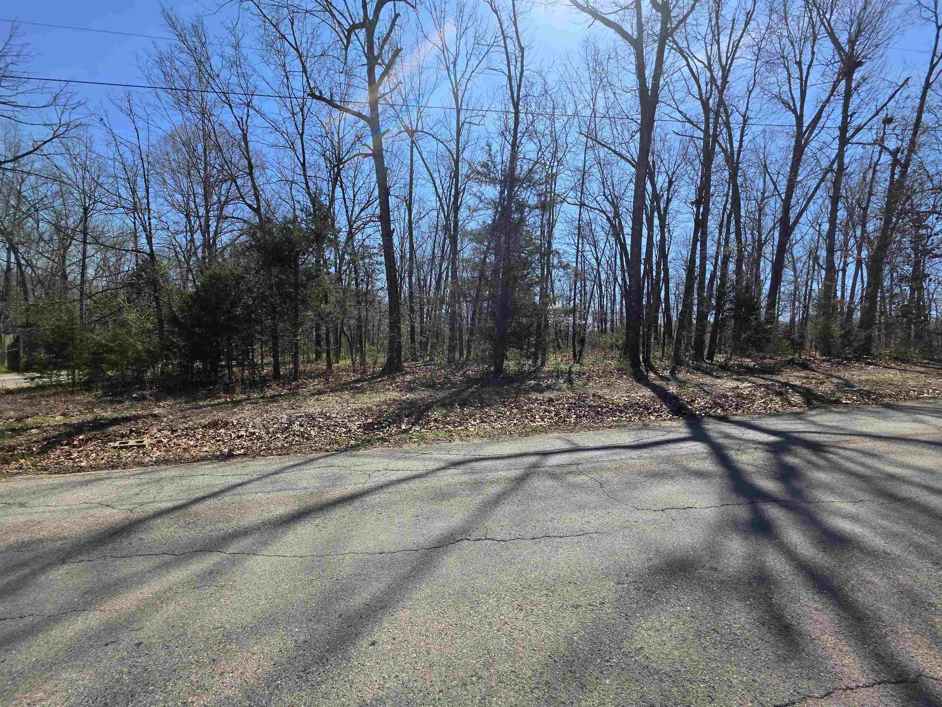 L23 B2 West Lake Addn  Ozark Acres, AR