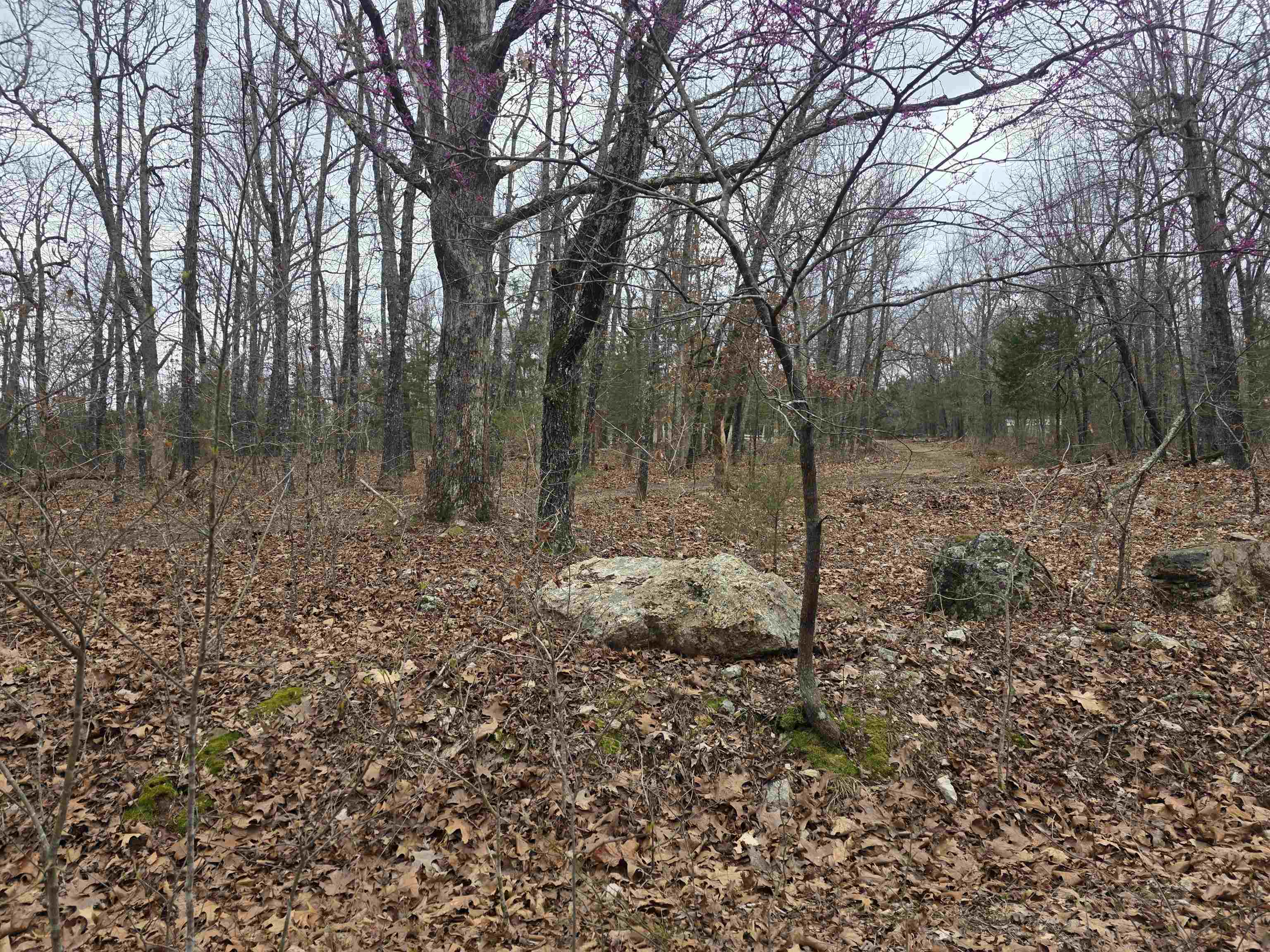 L30 B11 Pahokee  Cherokee Village, AR