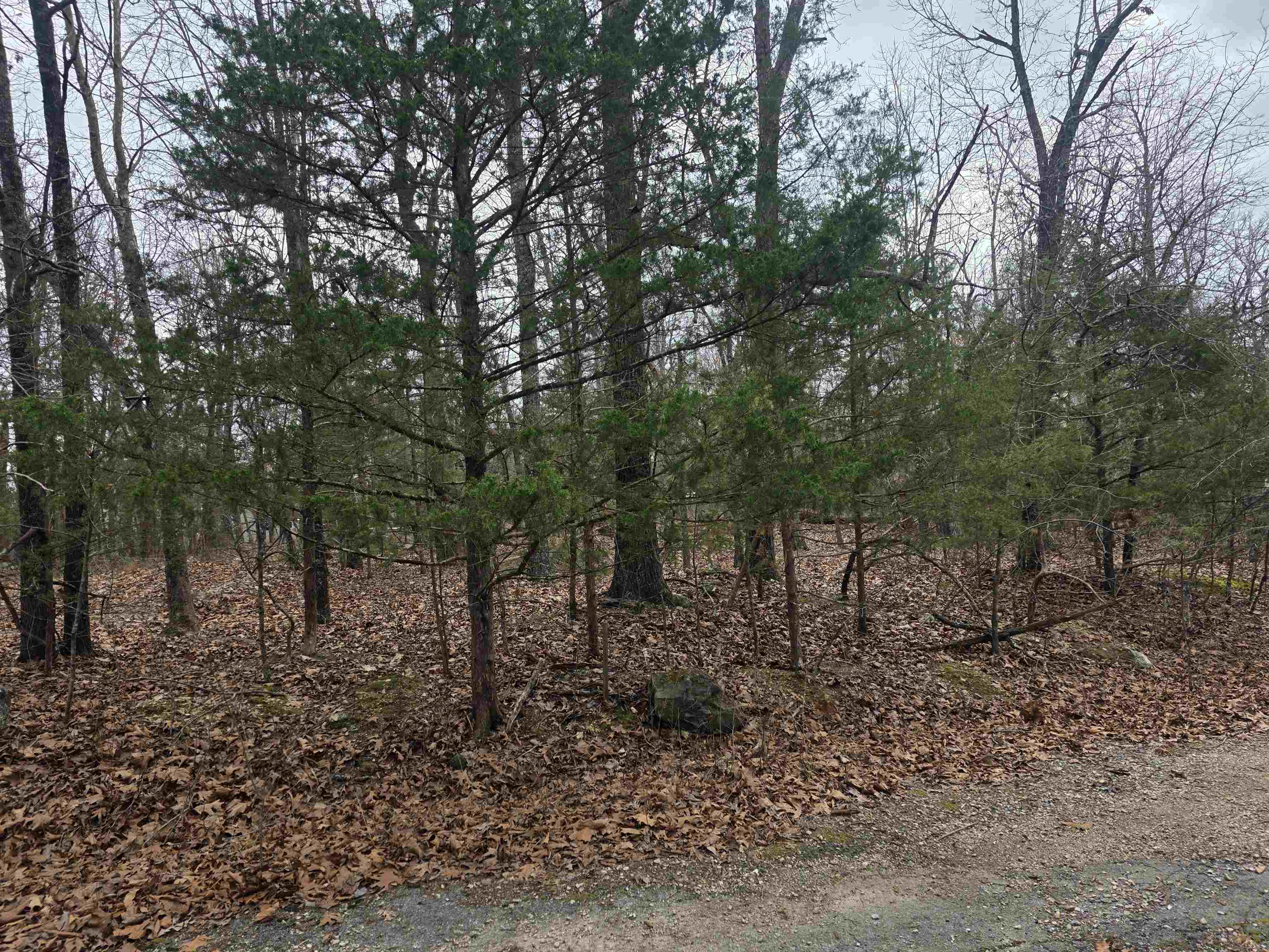 L30 B11 Pahokee  Cherokee Village, AR