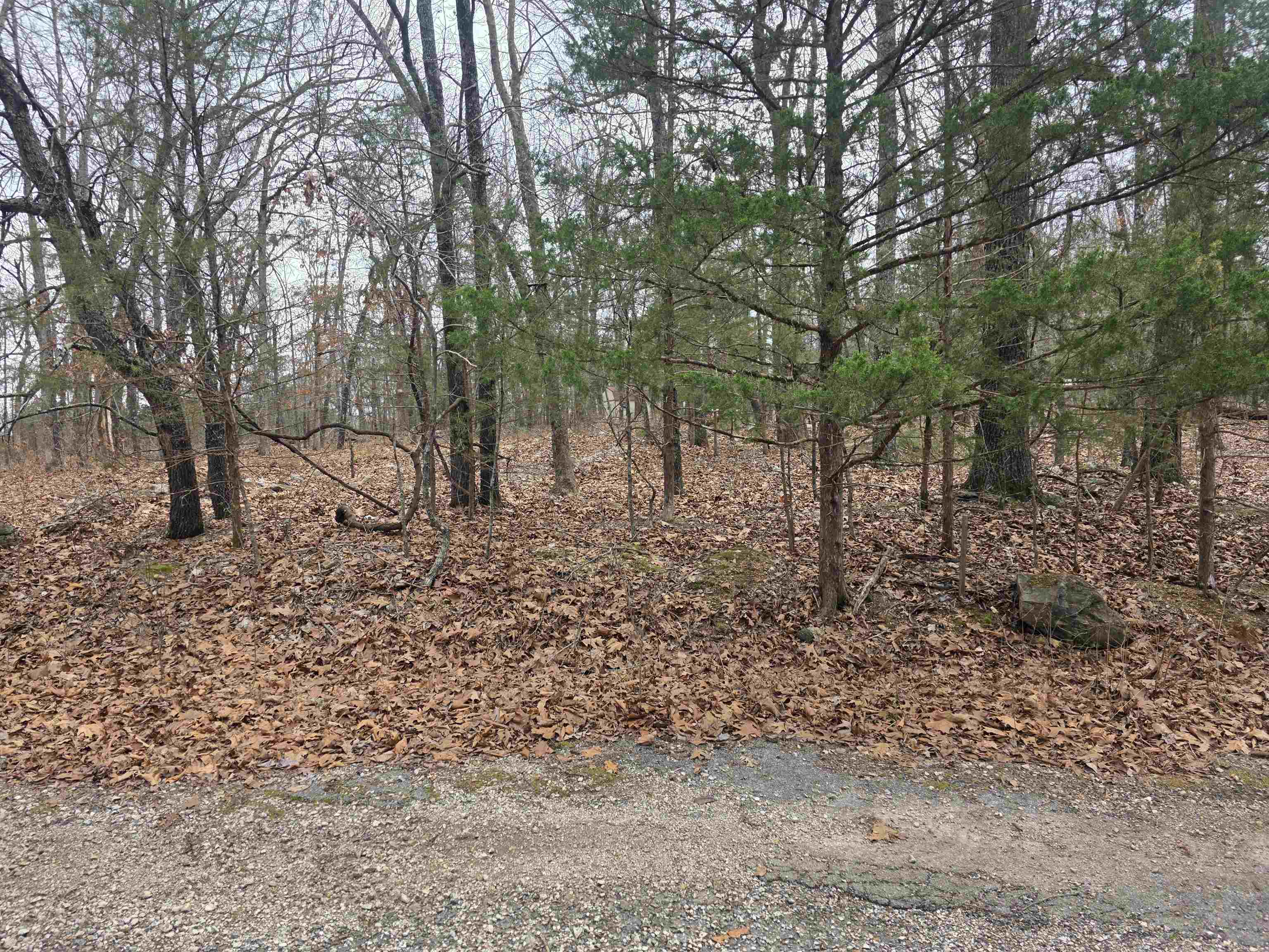 L30 B11 Pahokee  Cherokee Village, AR