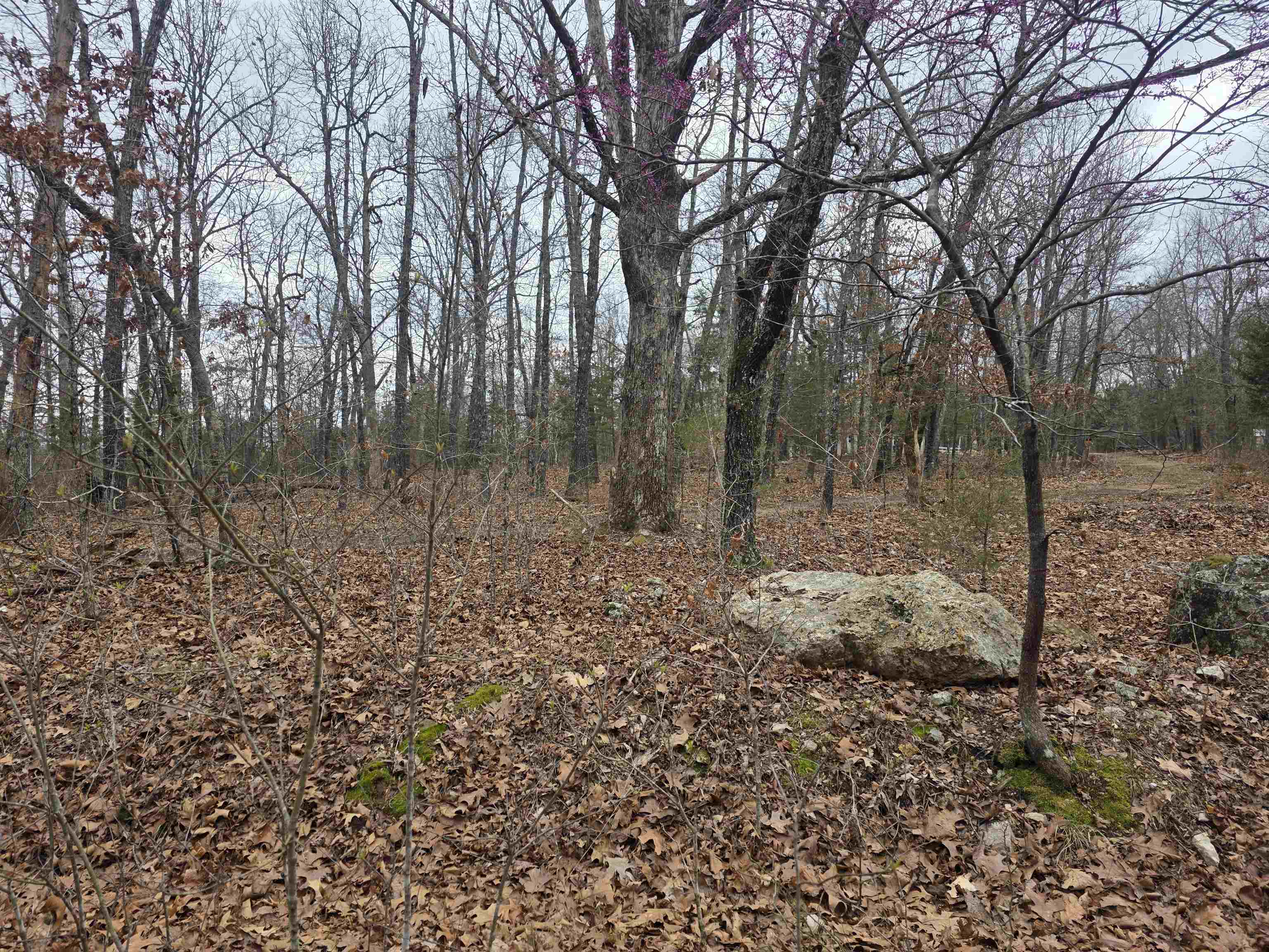 L30 B11 Pahokee  Cherokee Village, AR