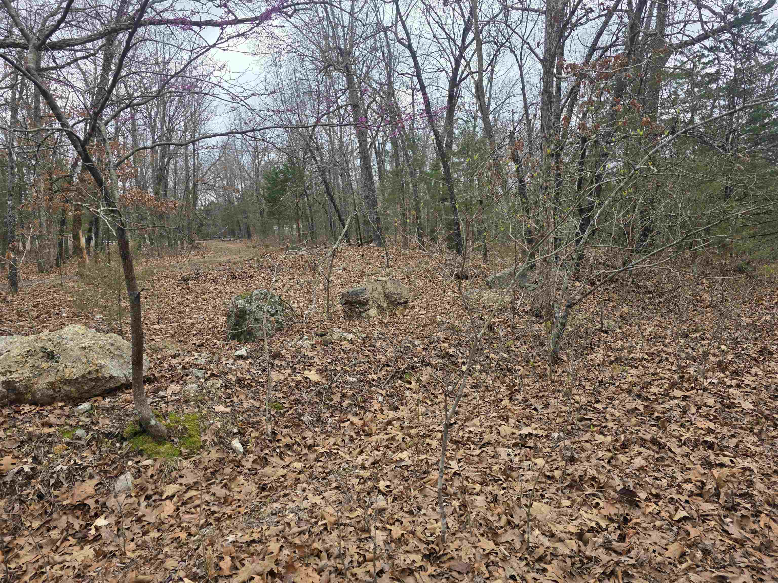 L30 B11 Pahokee  Cherokee Village, AR