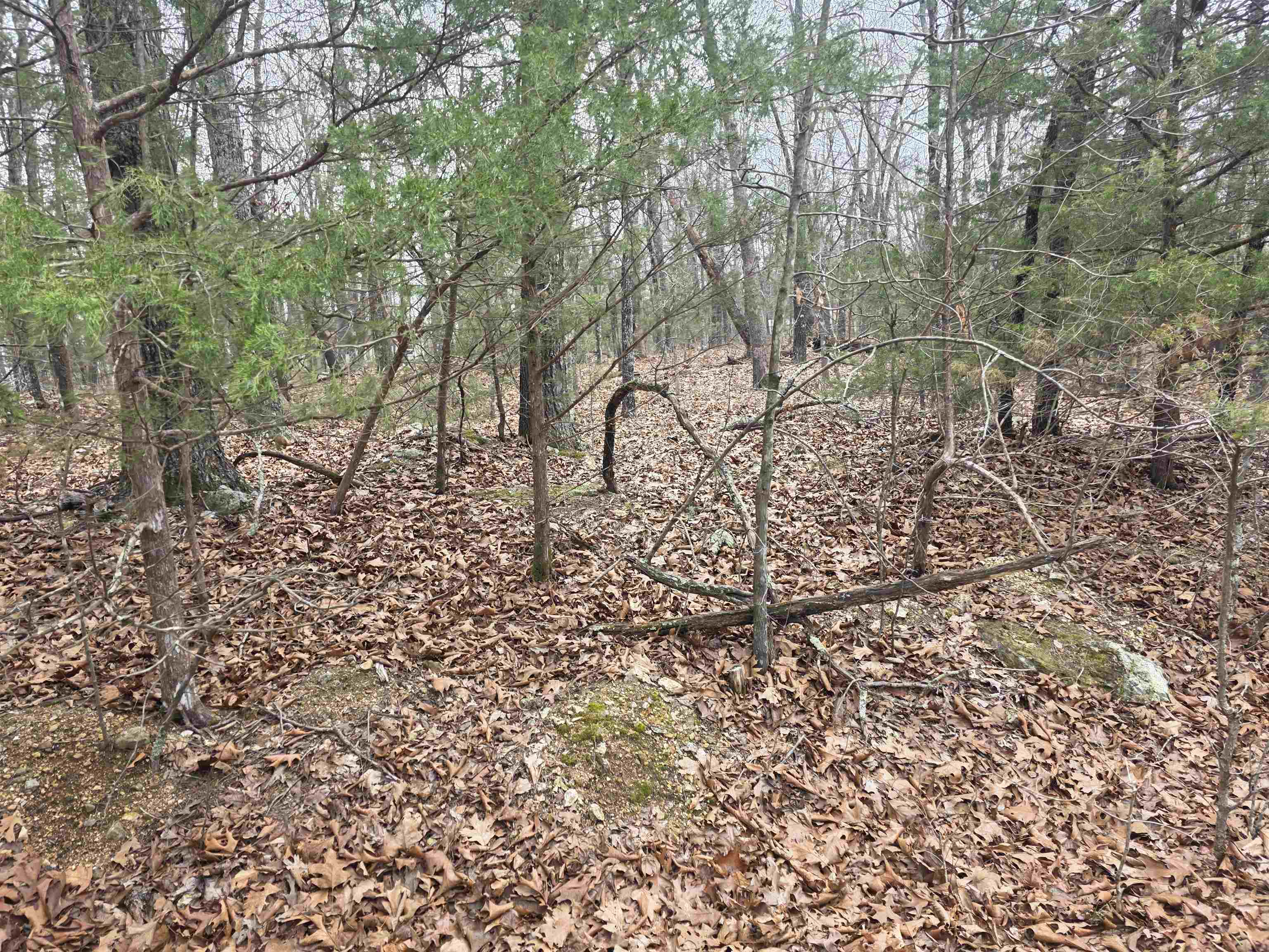 L30 B11 Pahokee  Cherokee Village, AR